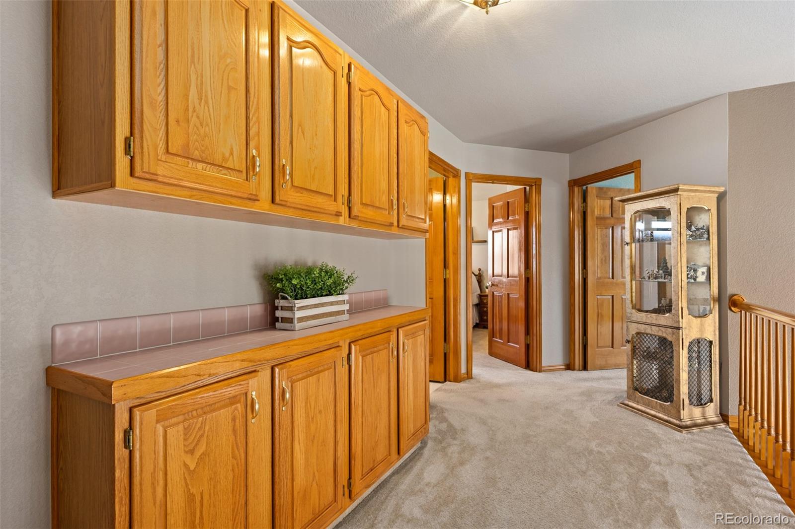 10335 Baneberry Place Highlands Ranch, CO 80129 - Photo 18 of 43