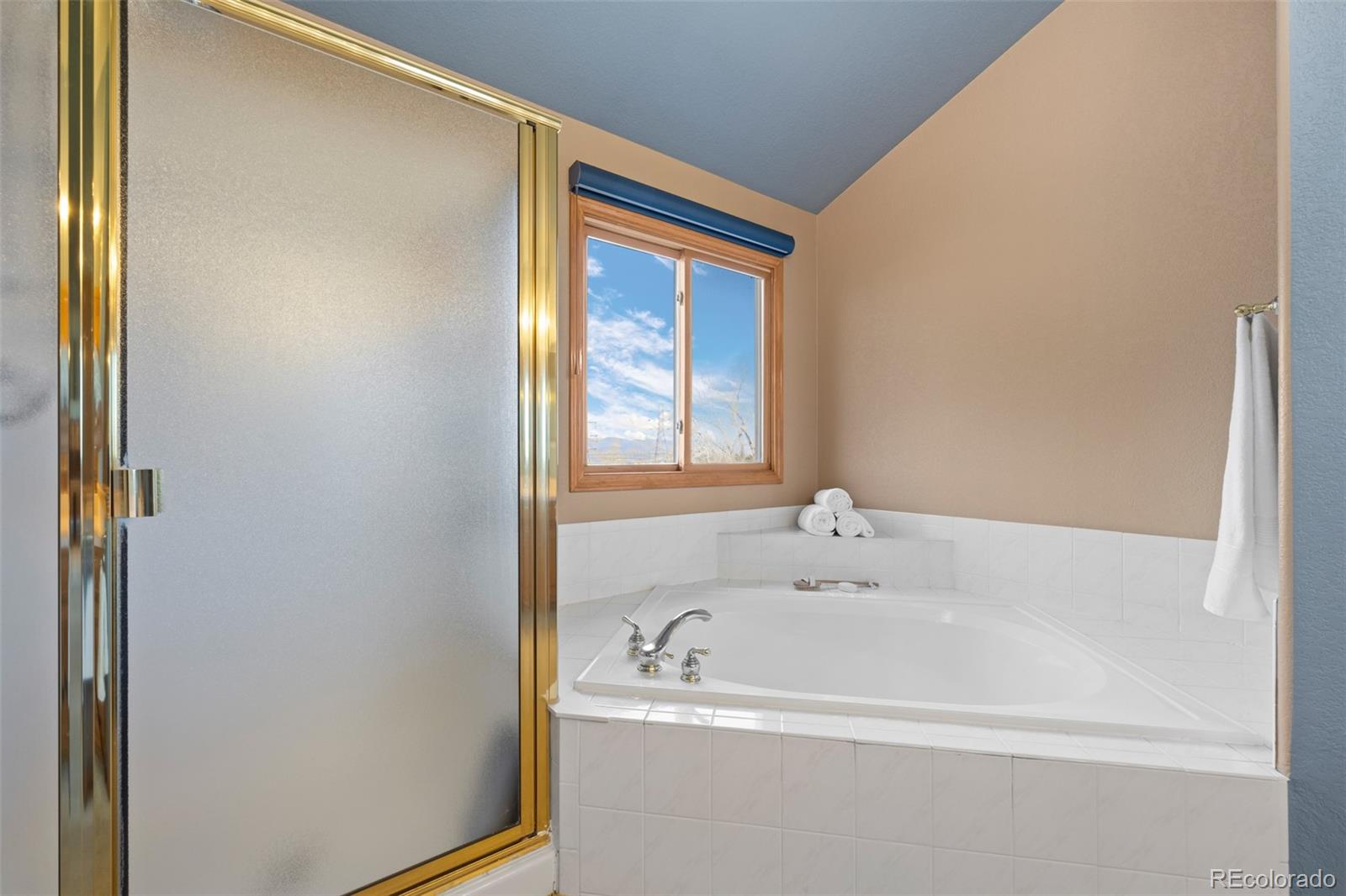 10335 Baneberry Place Highlands Ranch, CO 80129 - Photo 25 of 43