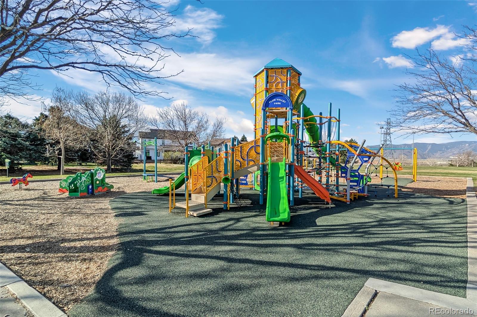 10335 Baneberry Place Highlands Ranch, CO 80129 - Photo 6 of 43
