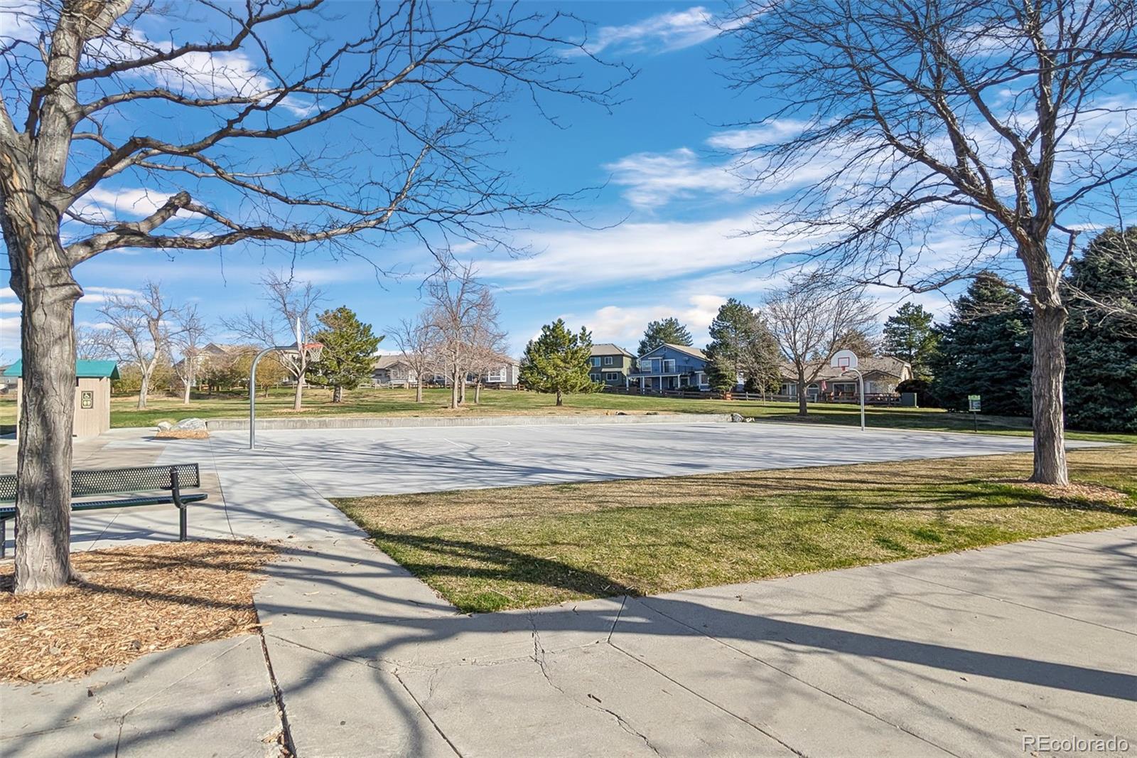 10335 Baneberry Place Highlands Ranch, CO 80129 - Photo 7 of 43