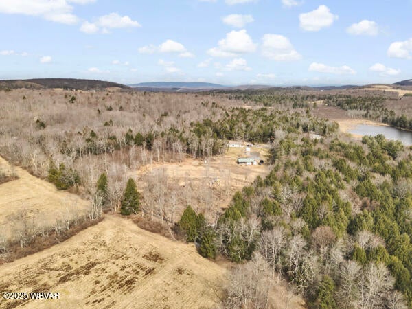 164 Browns Pond Road Dushore, PA 18614 - Photo 25 of 36 023_ONYh
