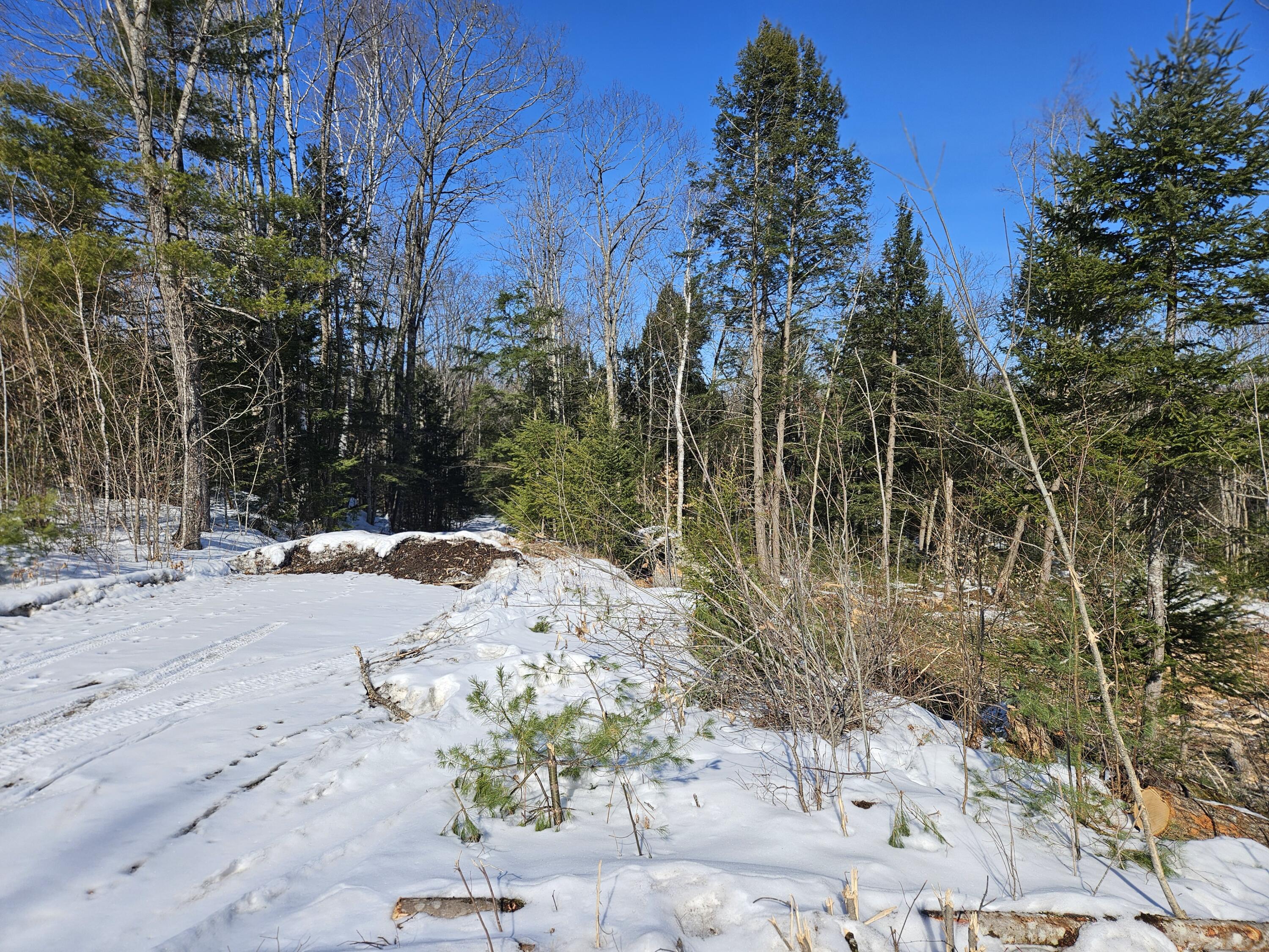 M10-l25-a M10-l25-a Cahoon Road Chesterville, ME 04938 - Photo 18 of 59 20260218_124025