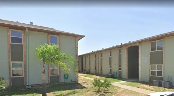 a view of a backyard with plants