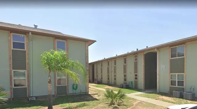 a view of a backyard with plants