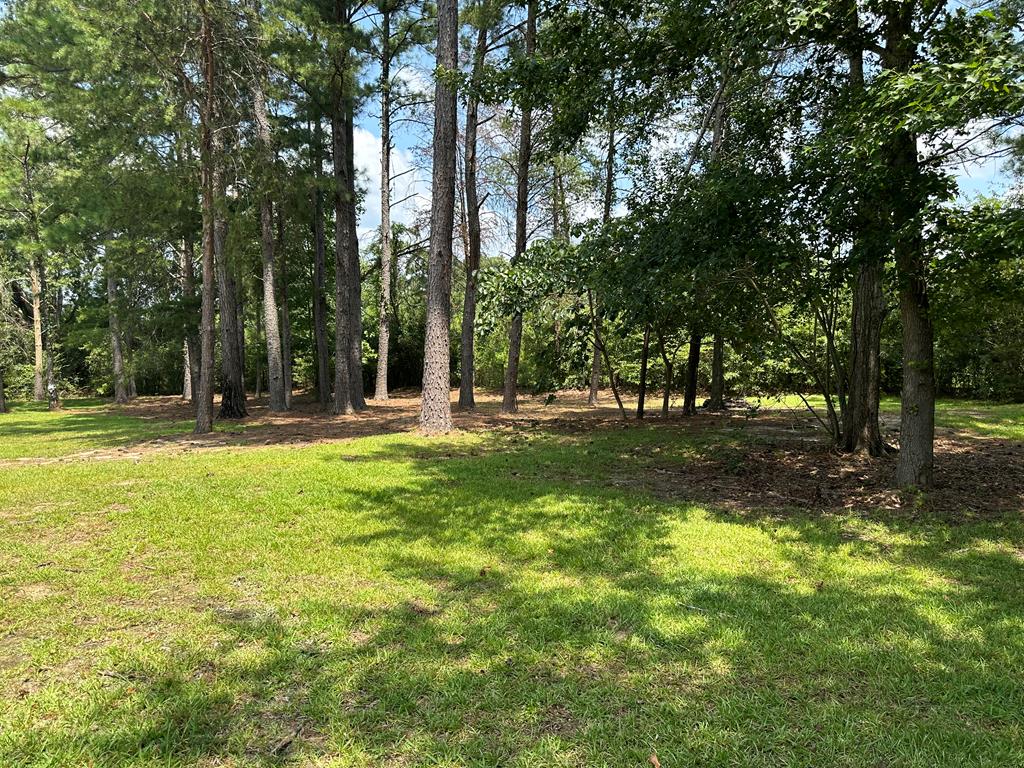 4205 Prevatt Road Cowarts, AL 36321 - Photo 44 of 48