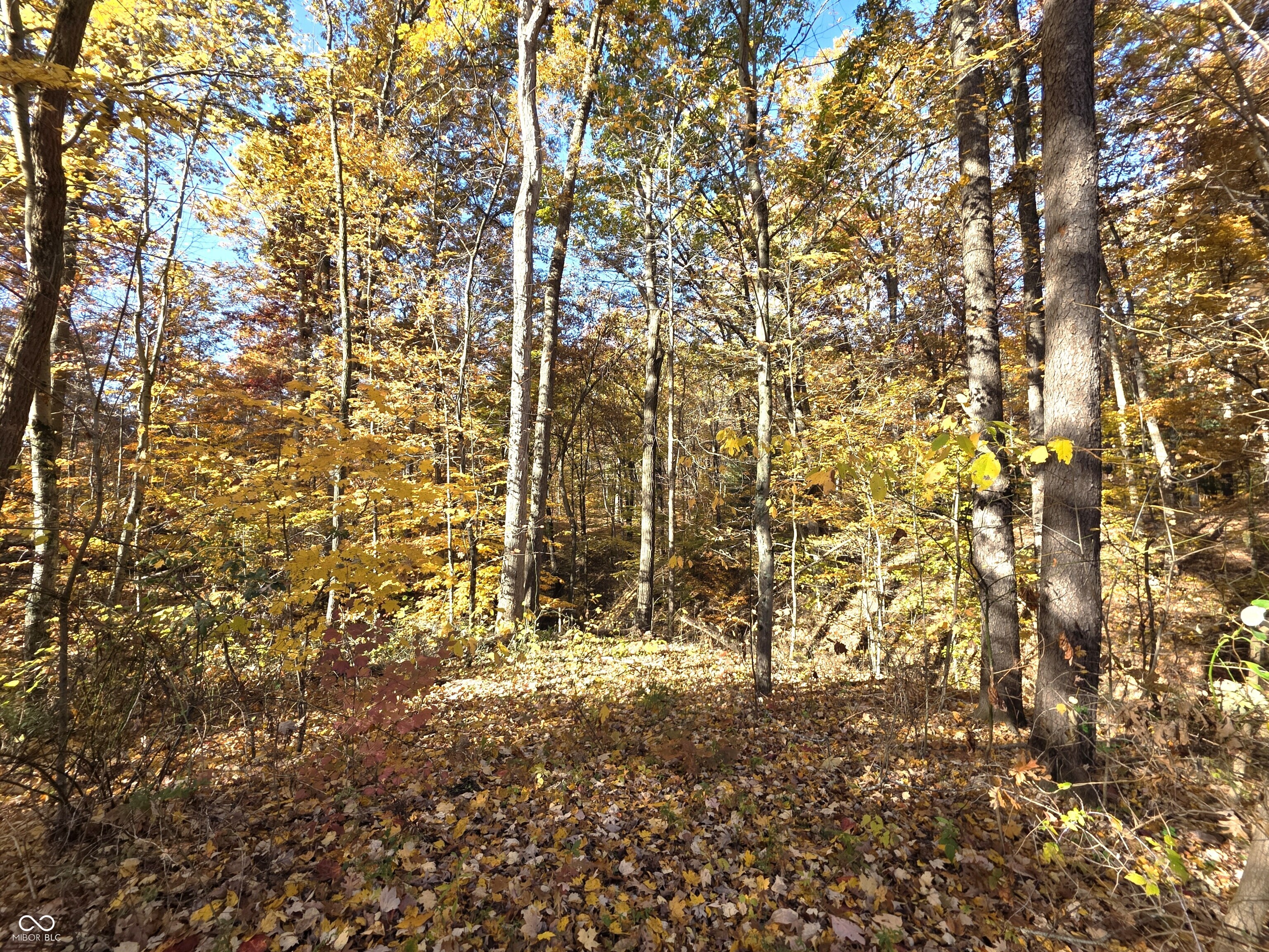 6538 North Tutterow Road Monrovia, IN 46157 - Photo 29 of 31