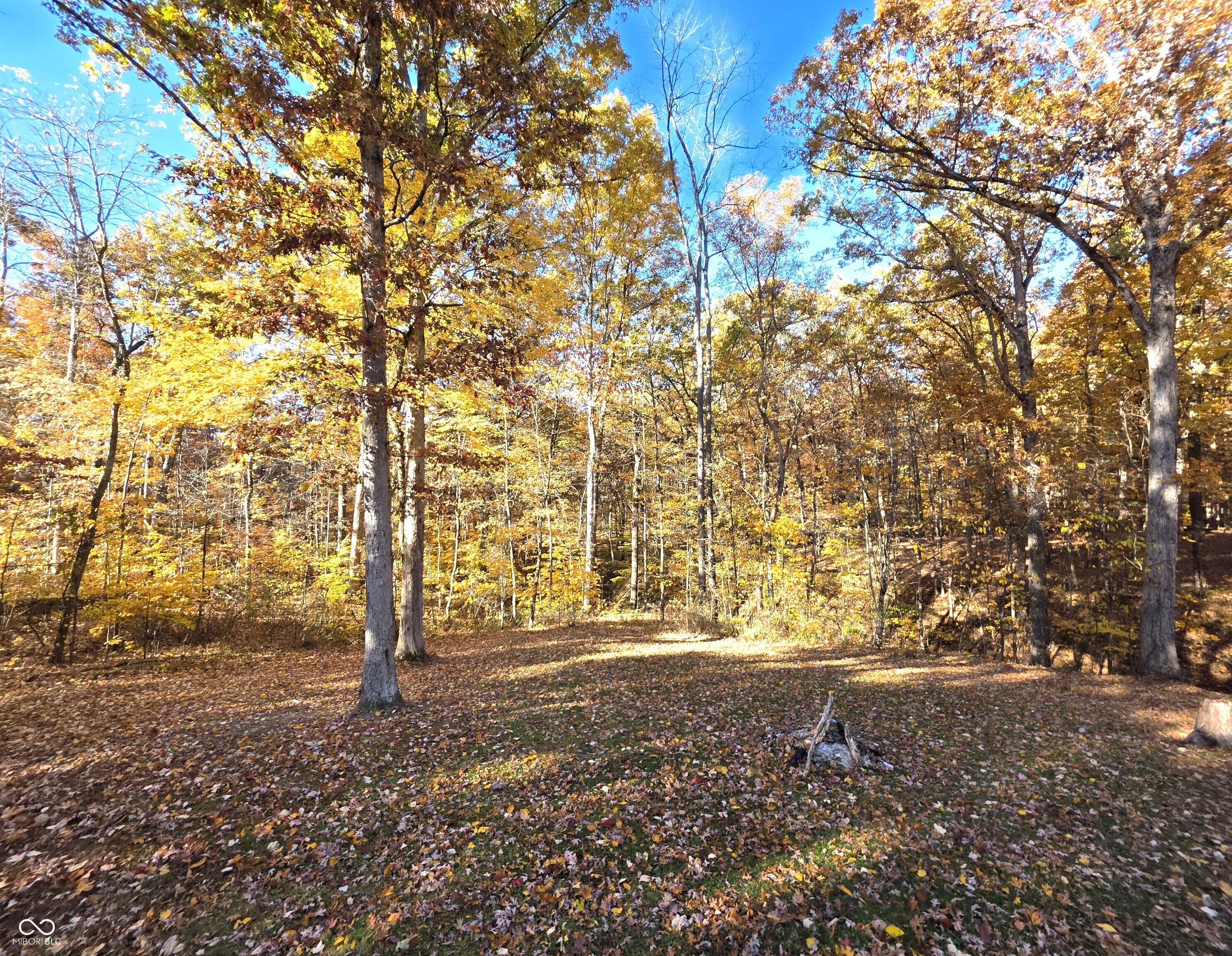 6538 North Tutterow Road Monrovia, IN 46157 - Photo 30 of 31