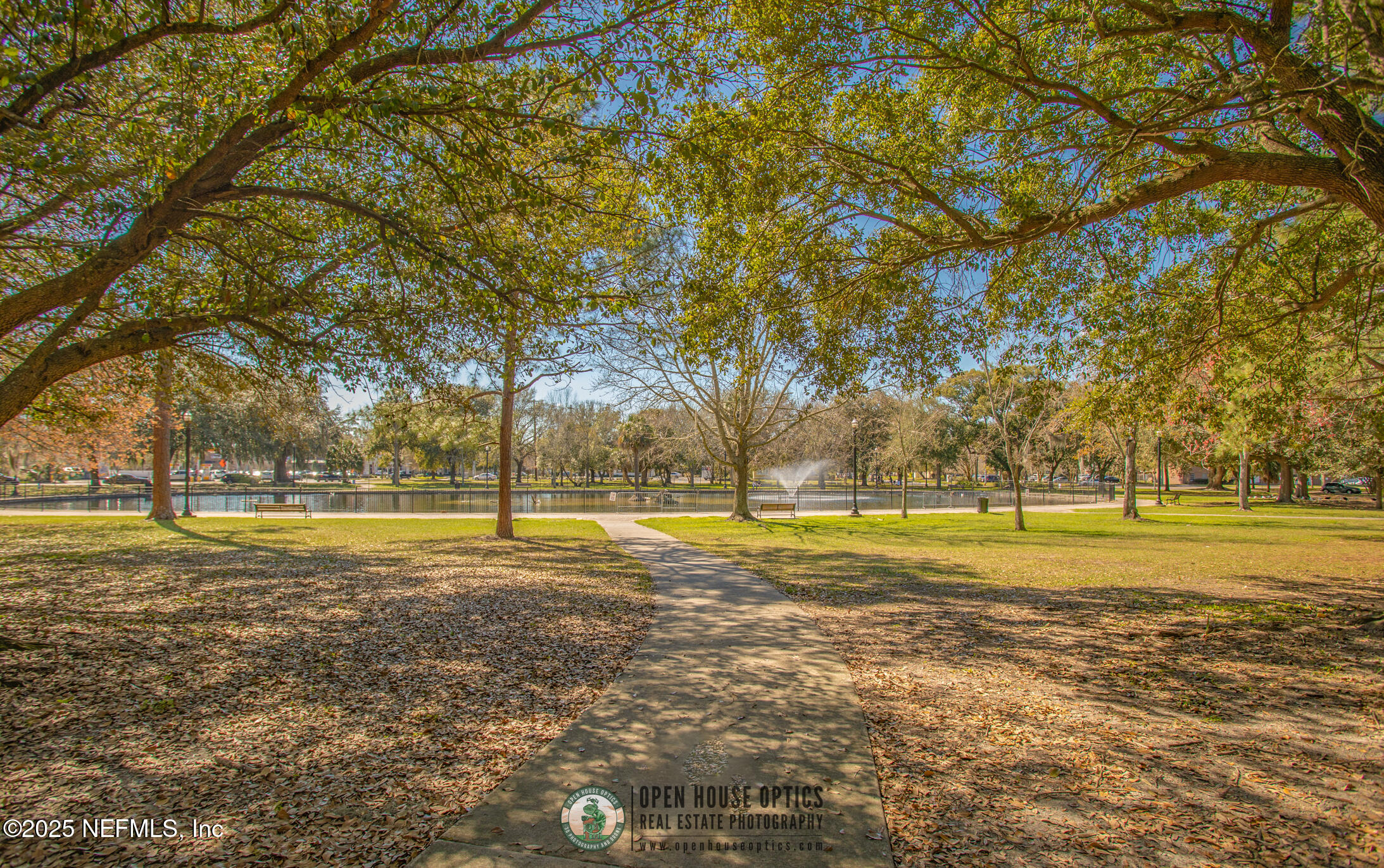 1661 Riverside Avenue, Unit 326 Jacksonville, FL 32204 - Photo 60 of 68 OHO Amenities Library - Downtown Jackson