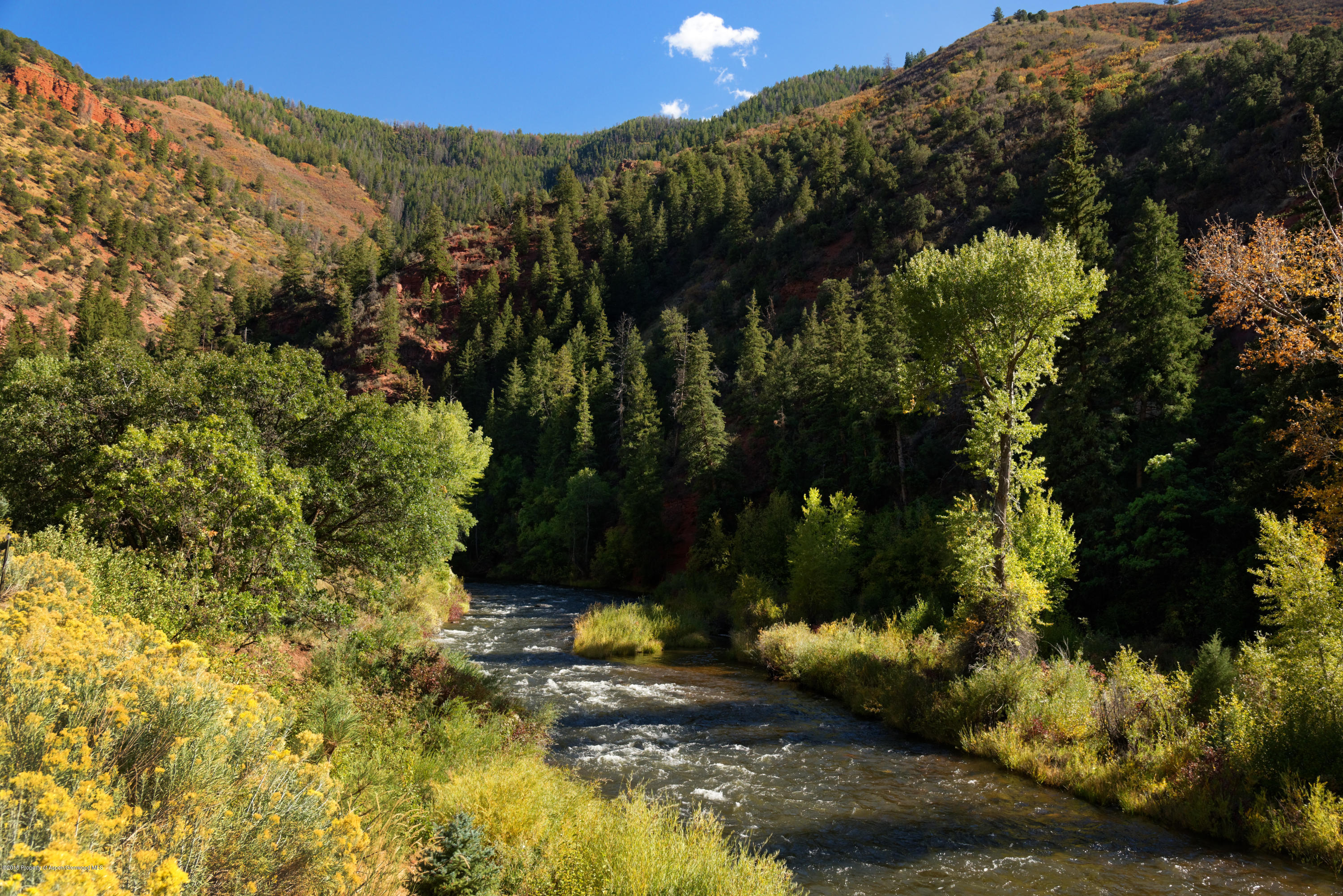 3006 Frying Pan Road Basalt, CO 81621 - Photo 13 of 27 a view of a back yard of the house and green space