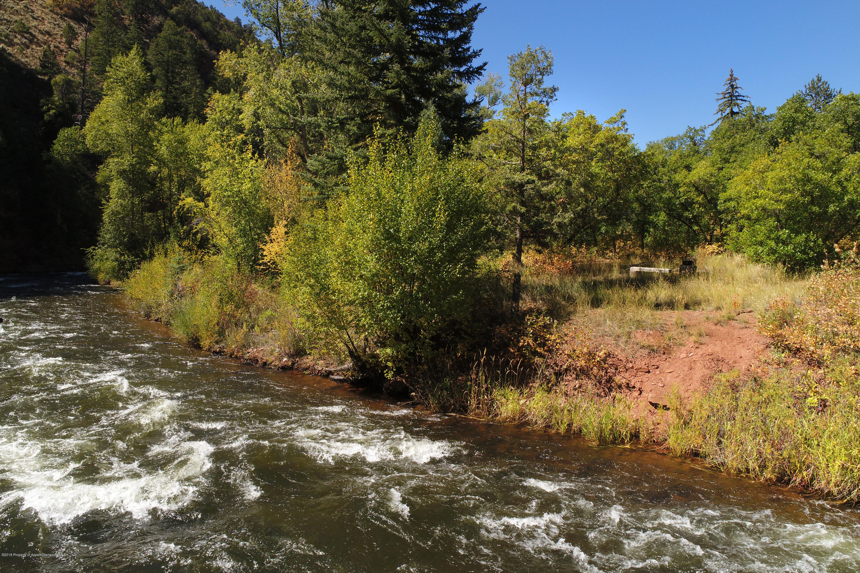3006 Frying Pan Road Basalt, CO 81621 - Photo 14 of 27 a view of a yard with a tree
