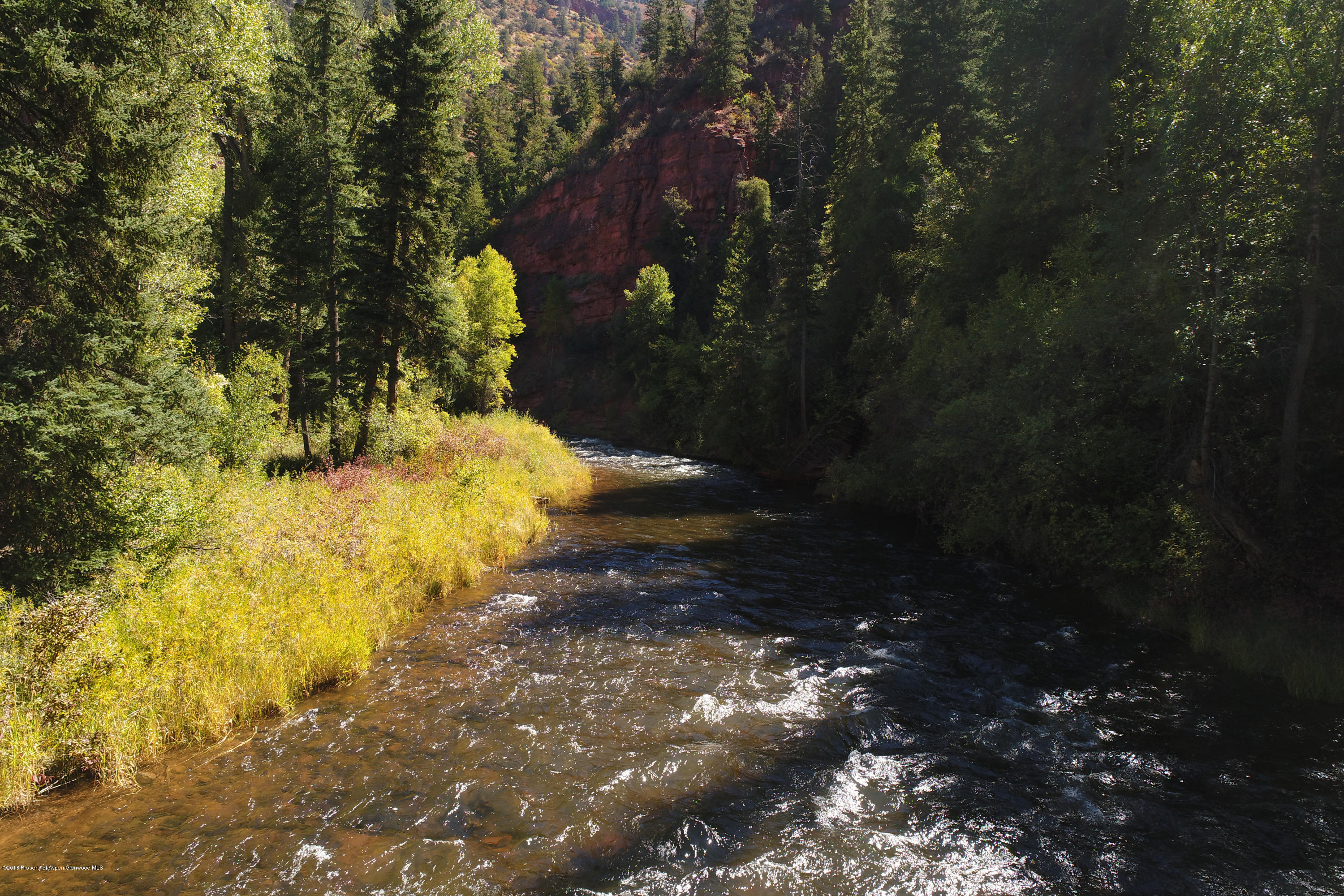 3006 Frying Pan Road Basalt, CO 81621 - Photo 15 of 27 a view of yard