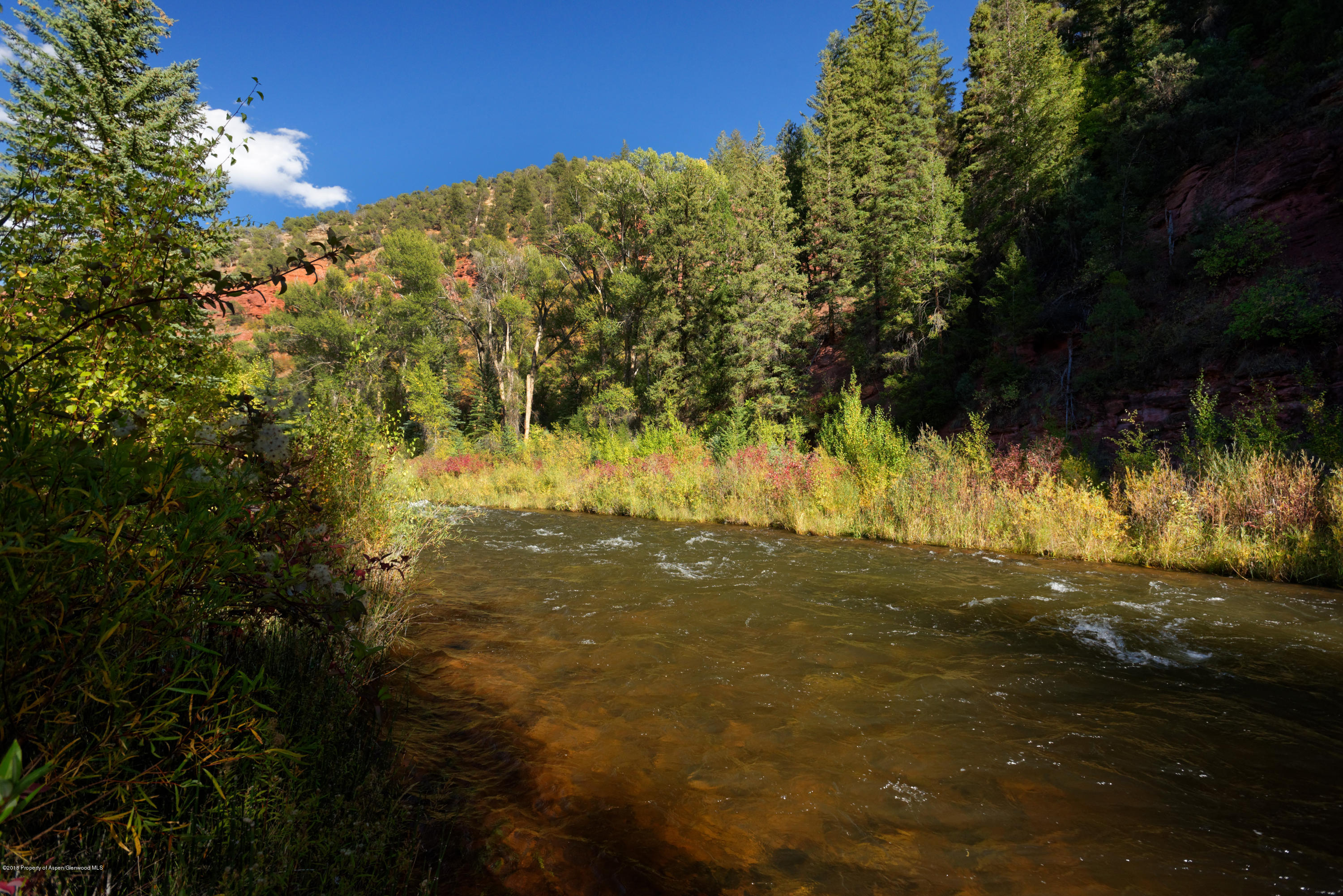 3006 Frying Pan Road Basalt, CO 81621 - Photo 17 of 27 a view of a yard