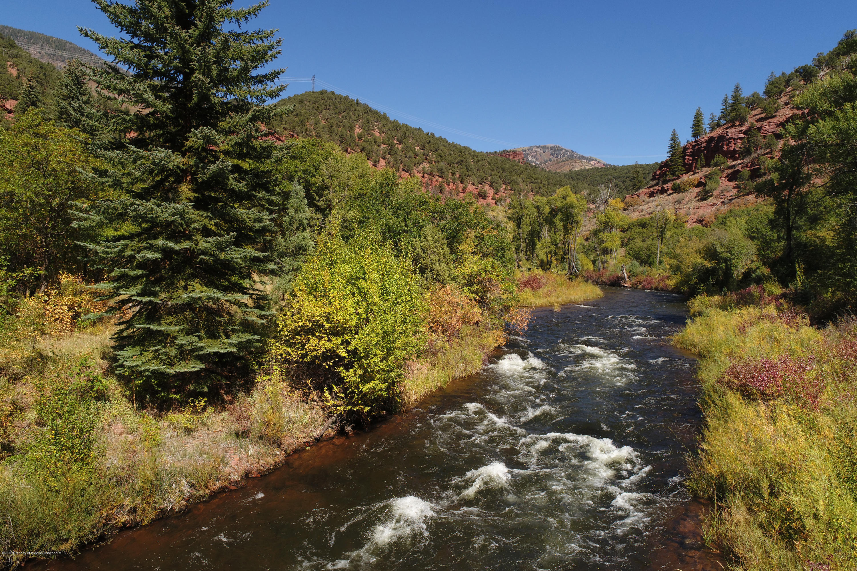 3006 Frying Pan Road Basalt, CO 81621 - Photo 19 of 27 a view of a yard with a tree