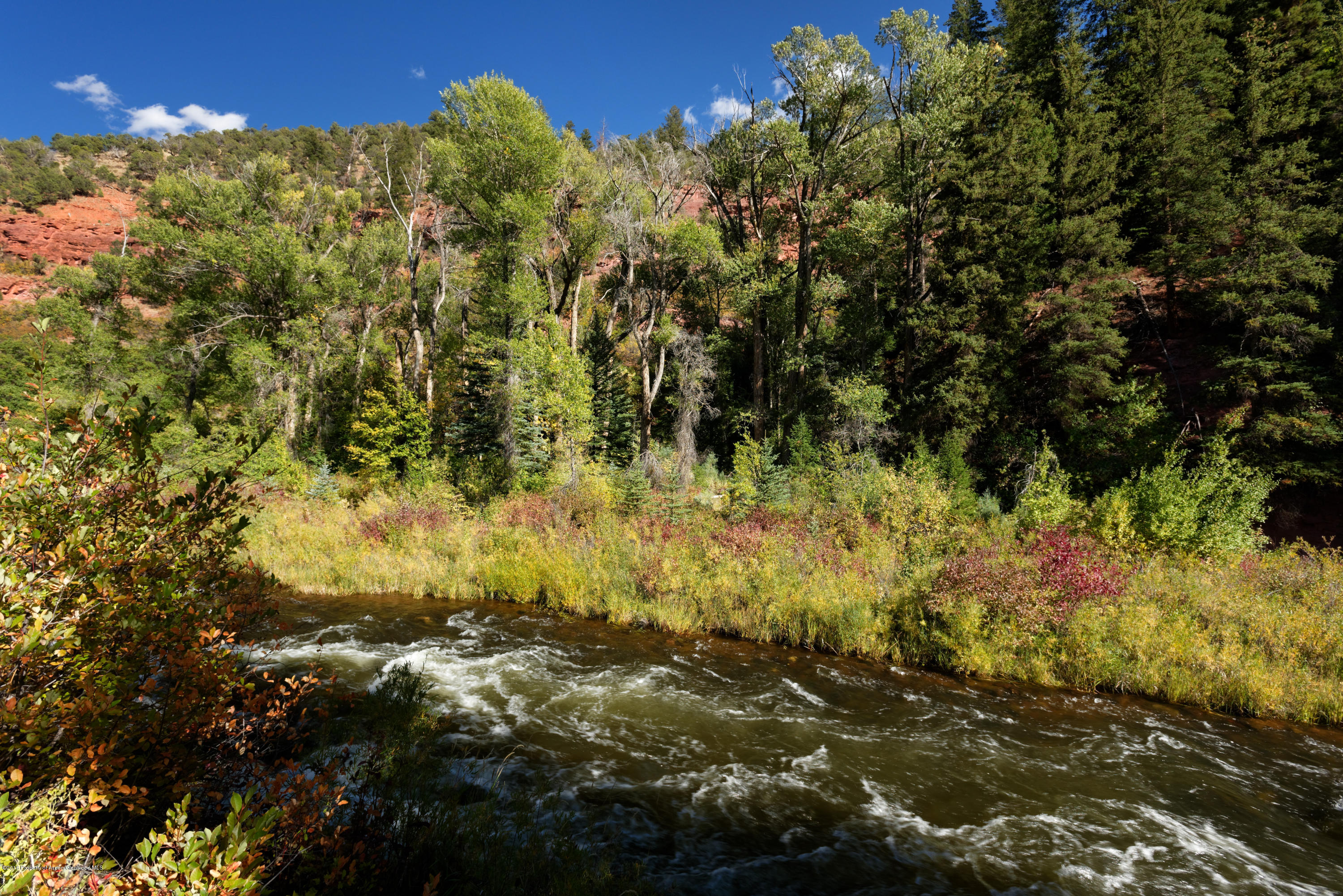 3006 Frying Pan Road Basalt, CO 81621 - Photo 20 of 27 a view of a bunch of trees