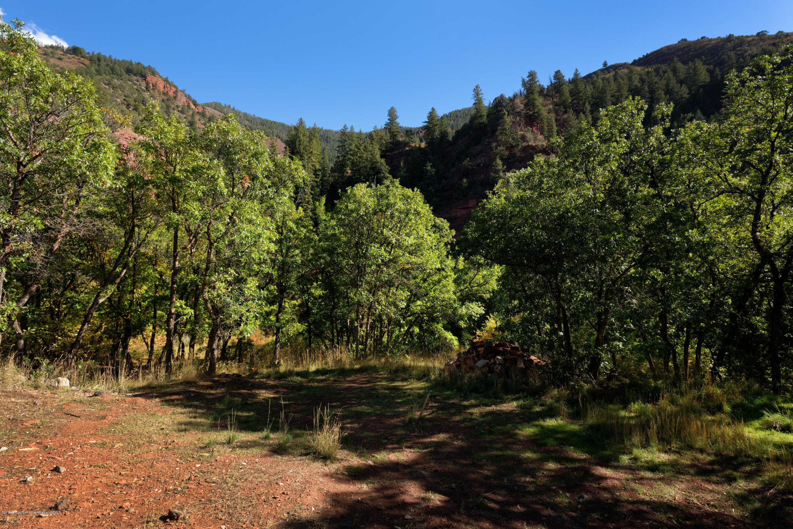 3006 Frying Pan Road Basalt, CO 81621 - Photo 22 of 27 a view of a yard