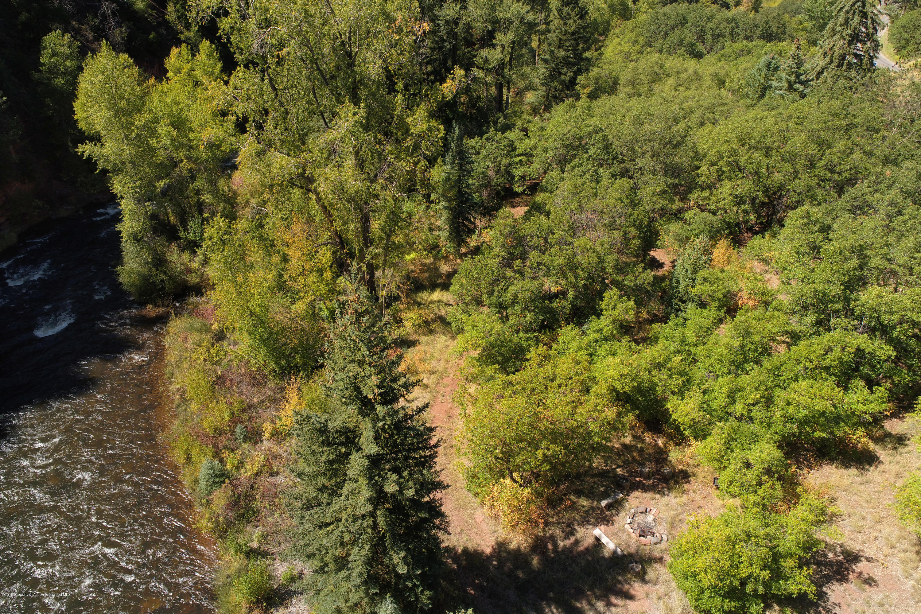 3006 Frying Pan Road Basalt, CO 81621 - Photo 23 of 27 a view of a forest with a tree