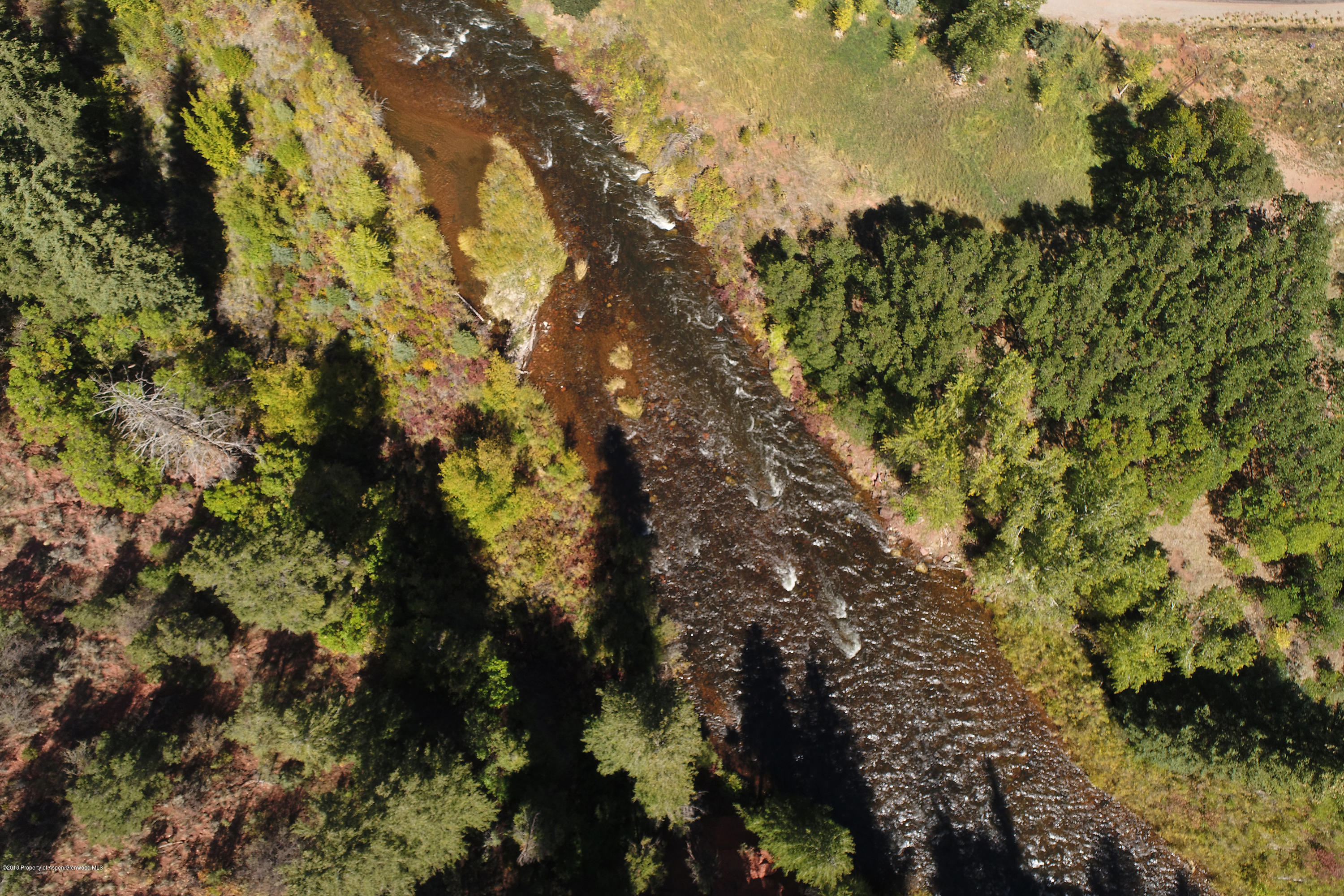 3006 Frying Pan Road Basalt, CO 81621 - Photo 24 of 27 a view of a tree