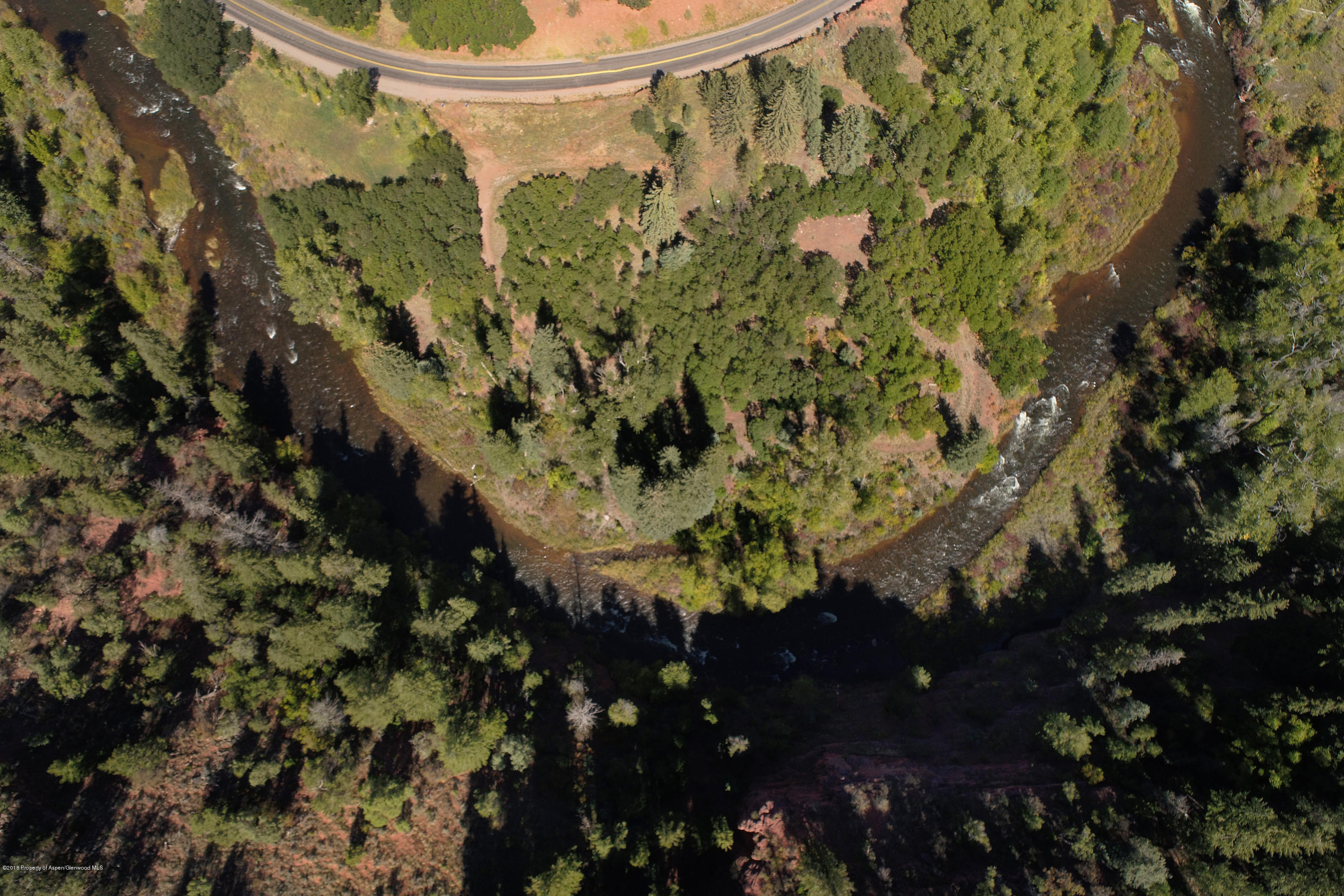 3006 Frying Pan Road Basalt, CO 81621 - Photo 25 of 27 a picture of flowers