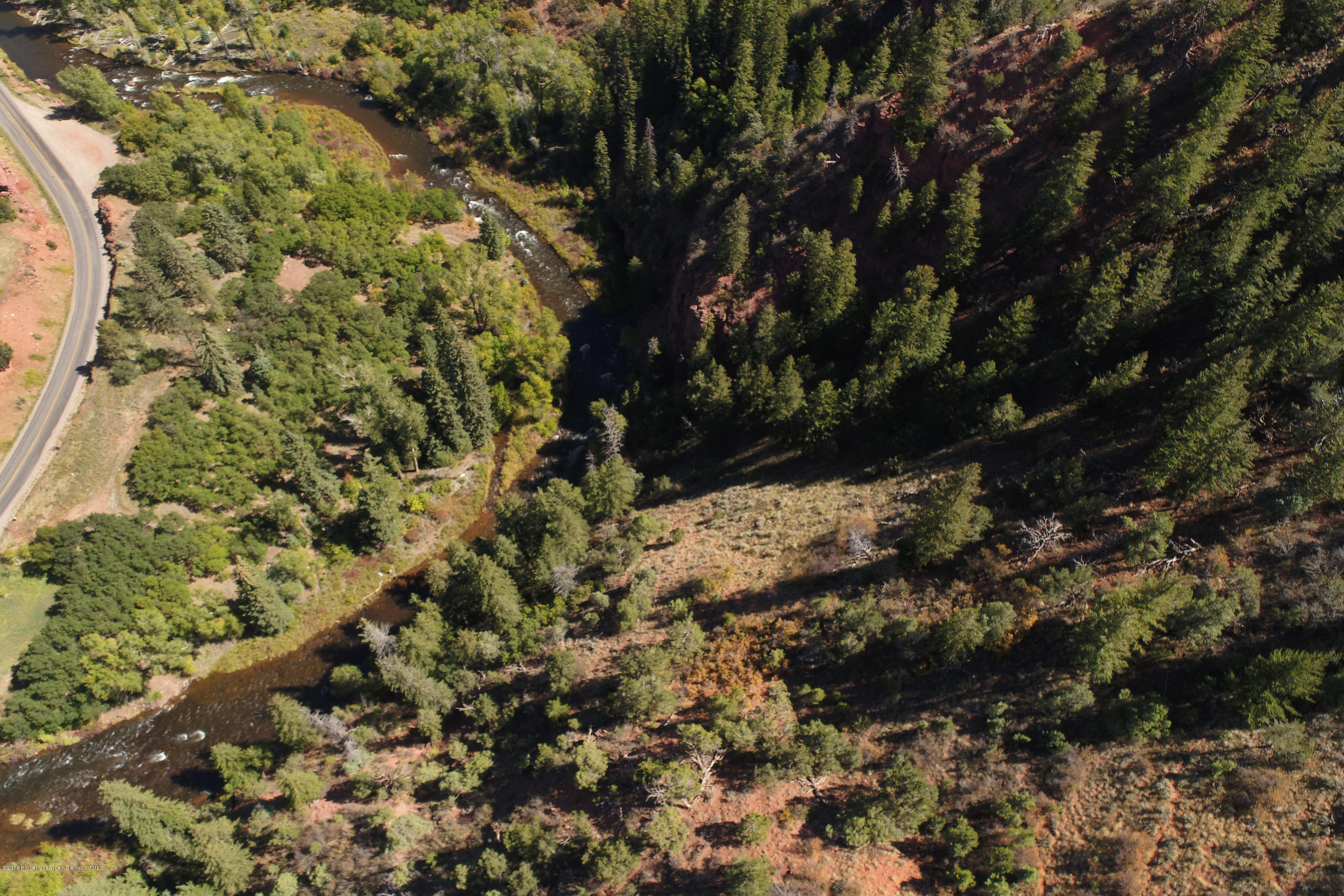 3006 Frying Pan Road Basalt, CO 81621 - Photo 26 of 27 a view of a forest with a tree