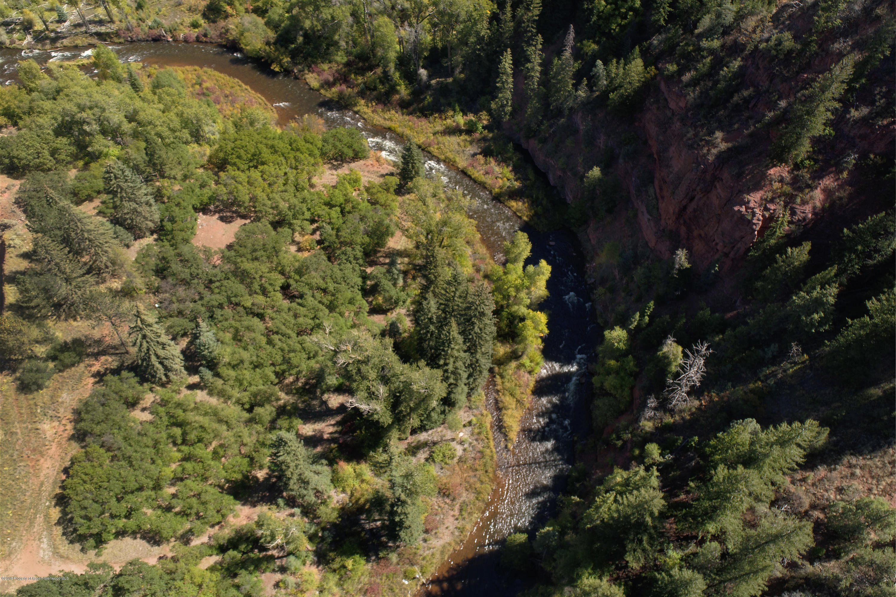 3006 Frying Pan Road Basalt, CO 81621 - Photo 27 of 27 a view of a forest with a tree