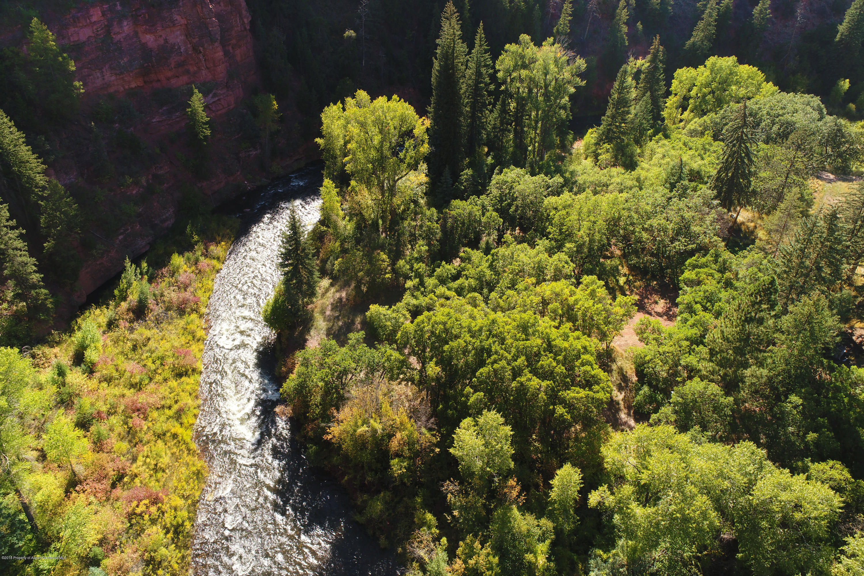 3006 Frying Pan Road Basalt, CO 81621 - Photo 5 of 27 a view of a bunch of flowers