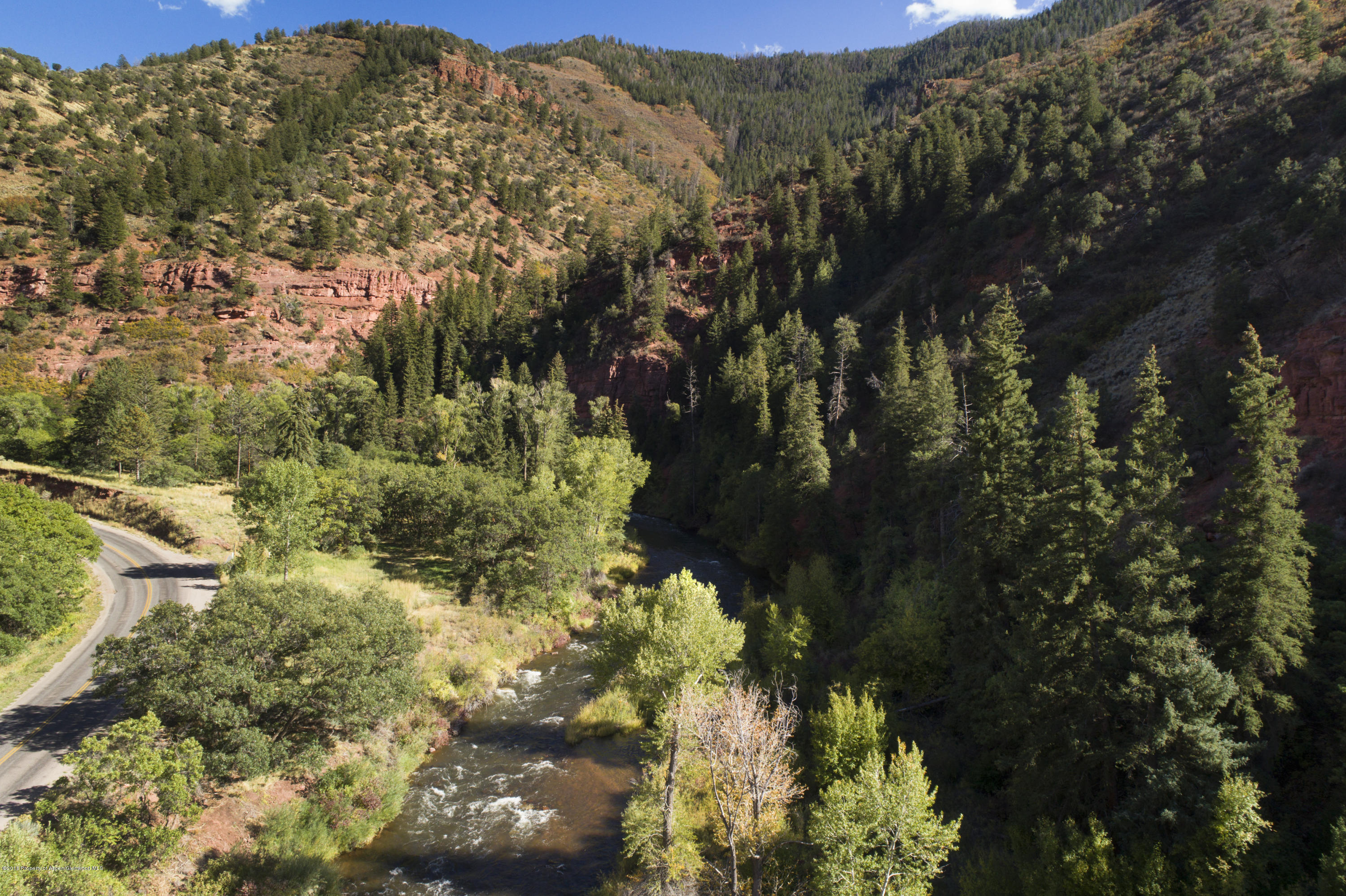 3006 Frying Pan Road Basalt, CO 81621 - Photo 9 of 27 a view of a forest with a tree