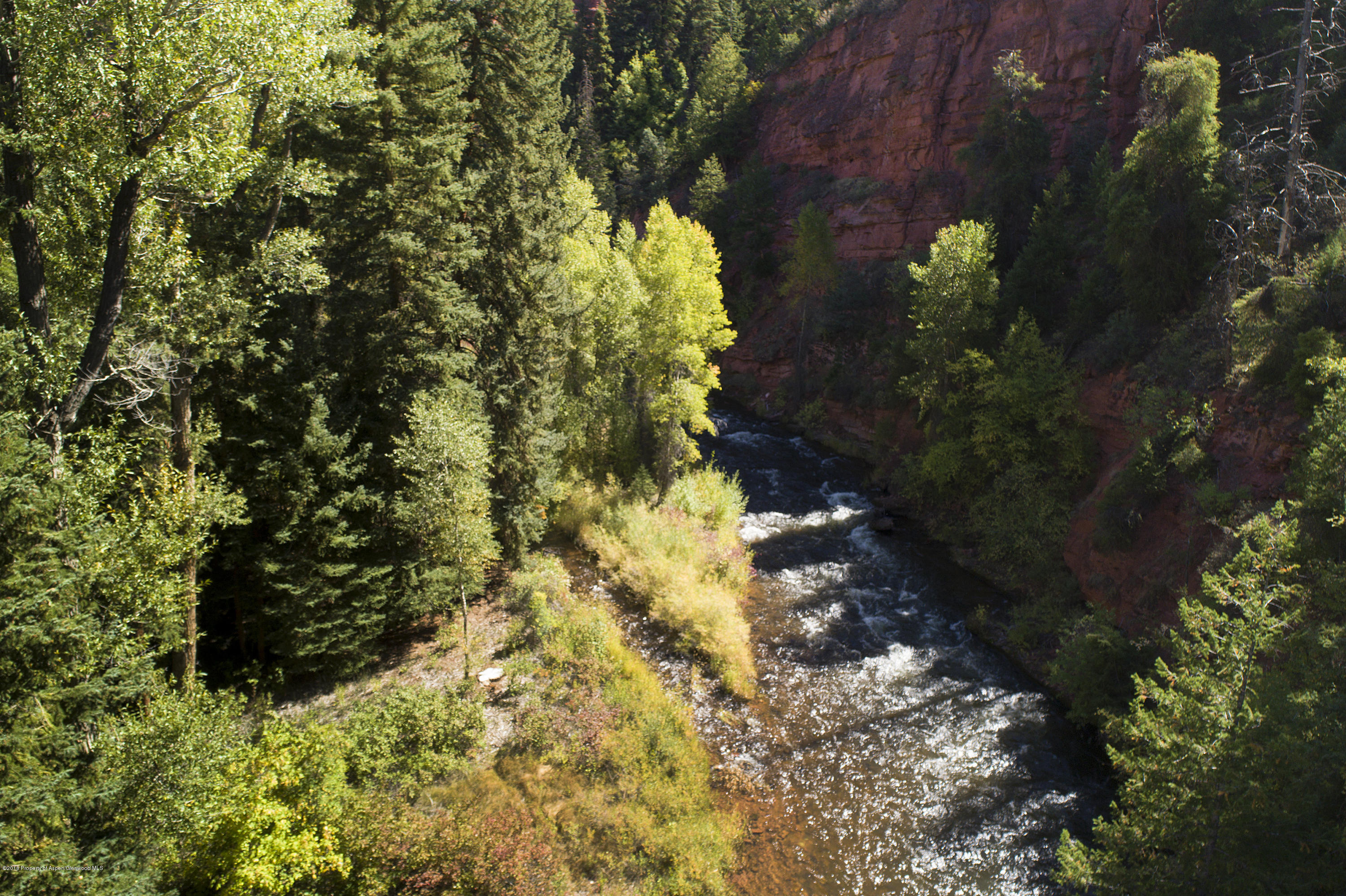3006 Frying Pan Road Basalt, CO 81621 - Photo 10 of 27 a plant that is in a garden