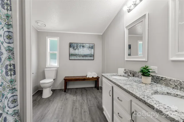 a spacious bathroom with a granite countertop sink toilet and painting on the wall