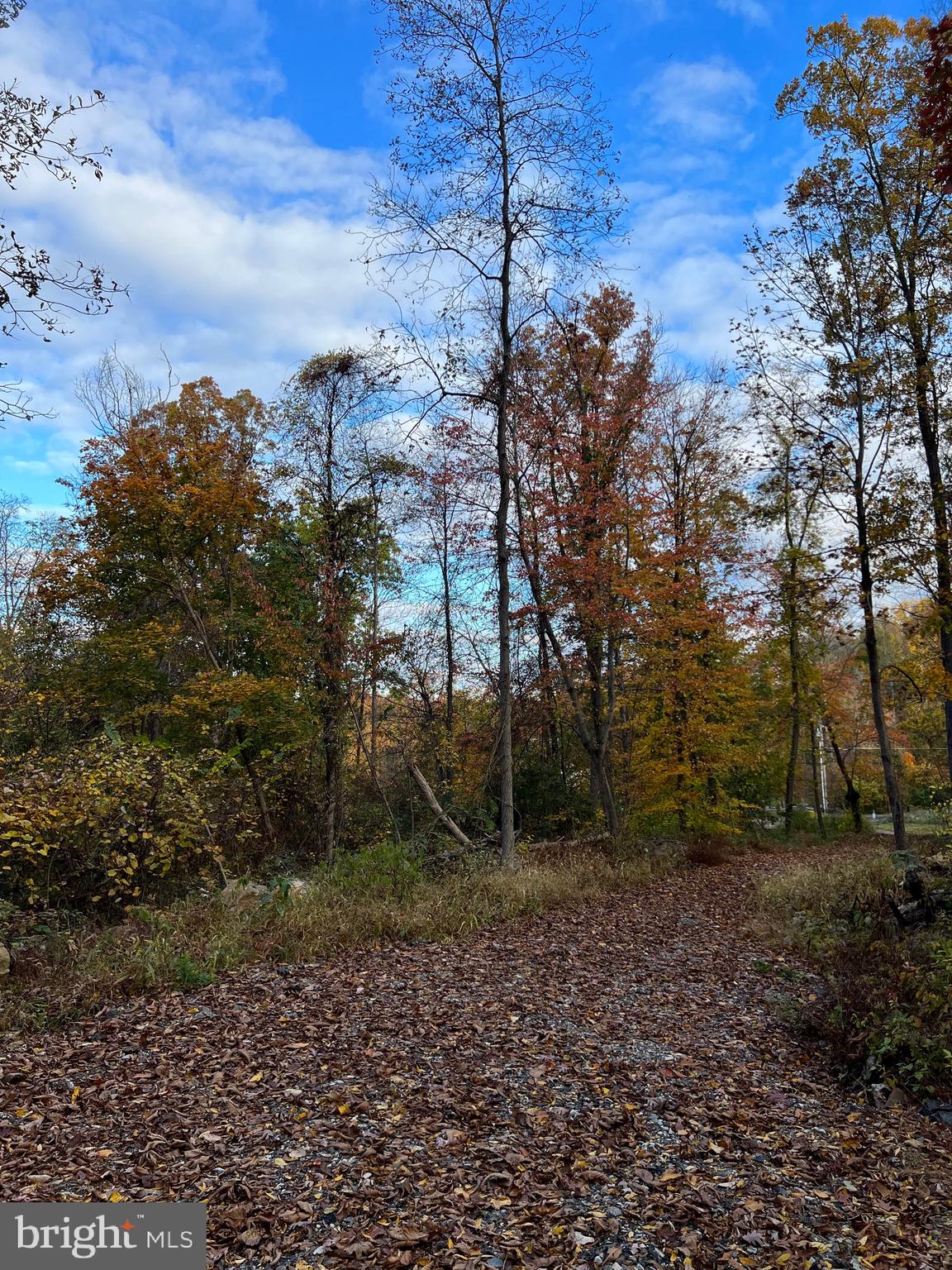 Tannery Road Dillsburg, PA 17019 - Photo 3 of 5 Gallery Image 3