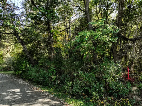 $114,900 | Lt2 Woodcrest Lane, Cambridge, WI 53523