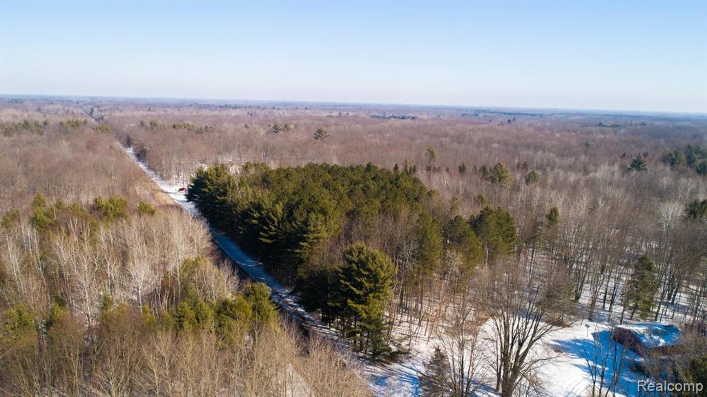 3637 South Loomis Road Mount Pleasant, MI 48858 - Photo 24 of 76 Gallery Image 24