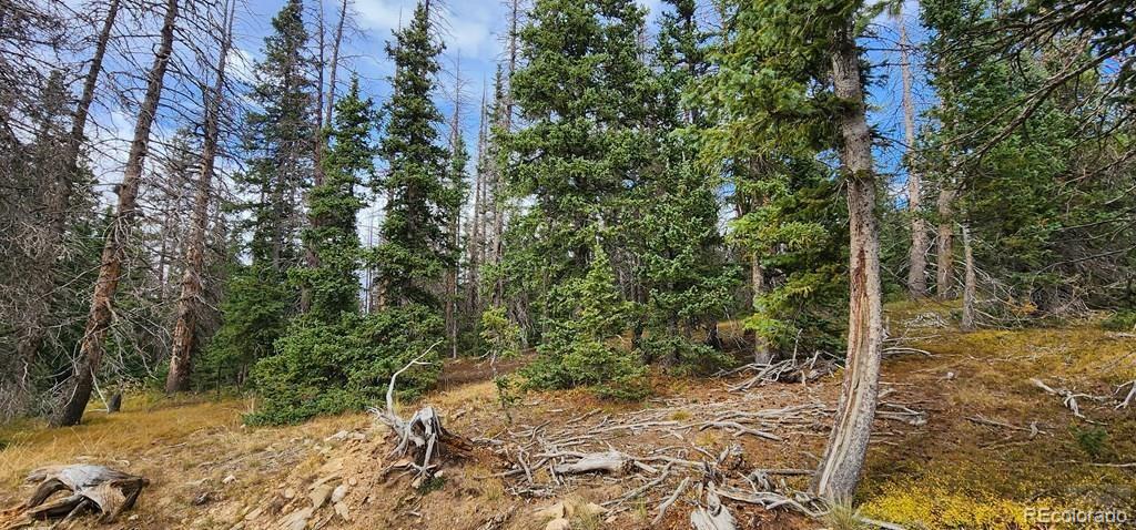 Tbt Tbt Glesse Road San Luis, CO 81152 - Photo 2 of 6 a view of a yard with plants and trees