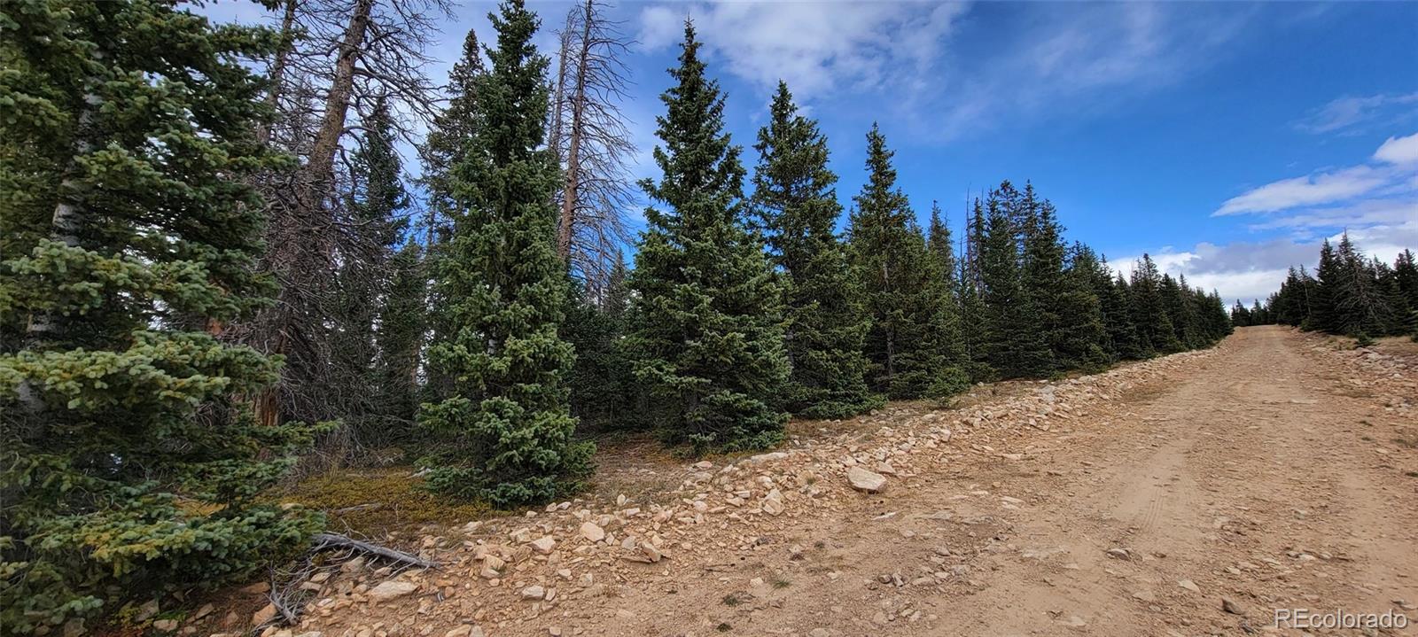 Tbt Tbt Glesse Road San Luis, CO 81152 - Photo 3 of 6 a view of a covered with trees in the background