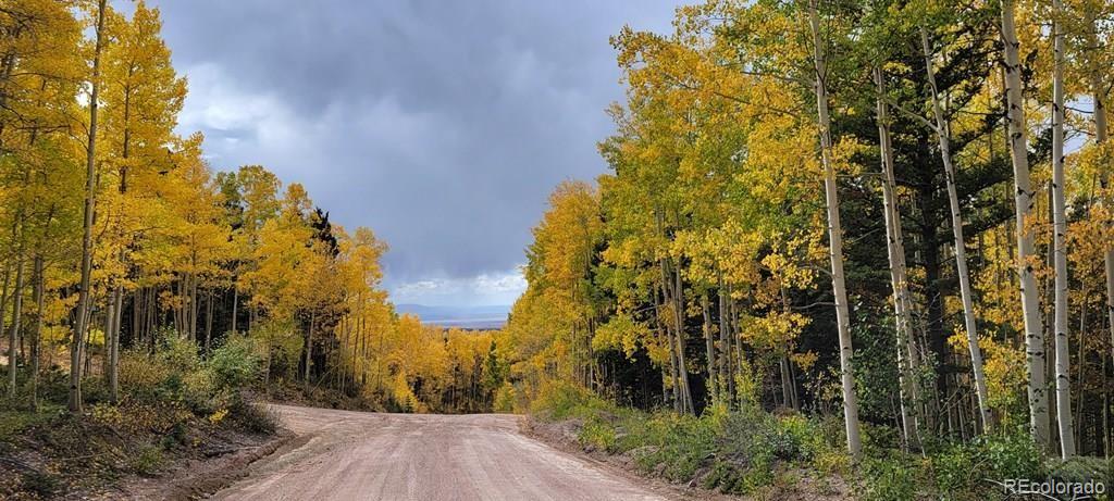 Tbt Tbt Glesse Road San Luis, CO 81152 - Photo 5 of 6 a view of a yard with plants and large trees