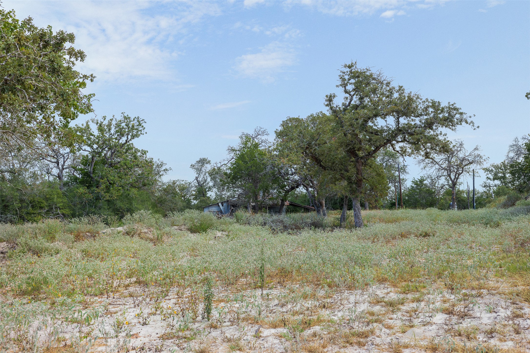 3301 Chuckwagon Road Harwood, TX 78632 - Photo 12 of 36 Mature trees dot this sprawling acreage offering plenty of privacy and natural beauty.