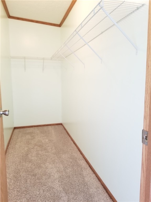 122 North Maple Street Stewardson, IL 62463 - Photo 12 of 20