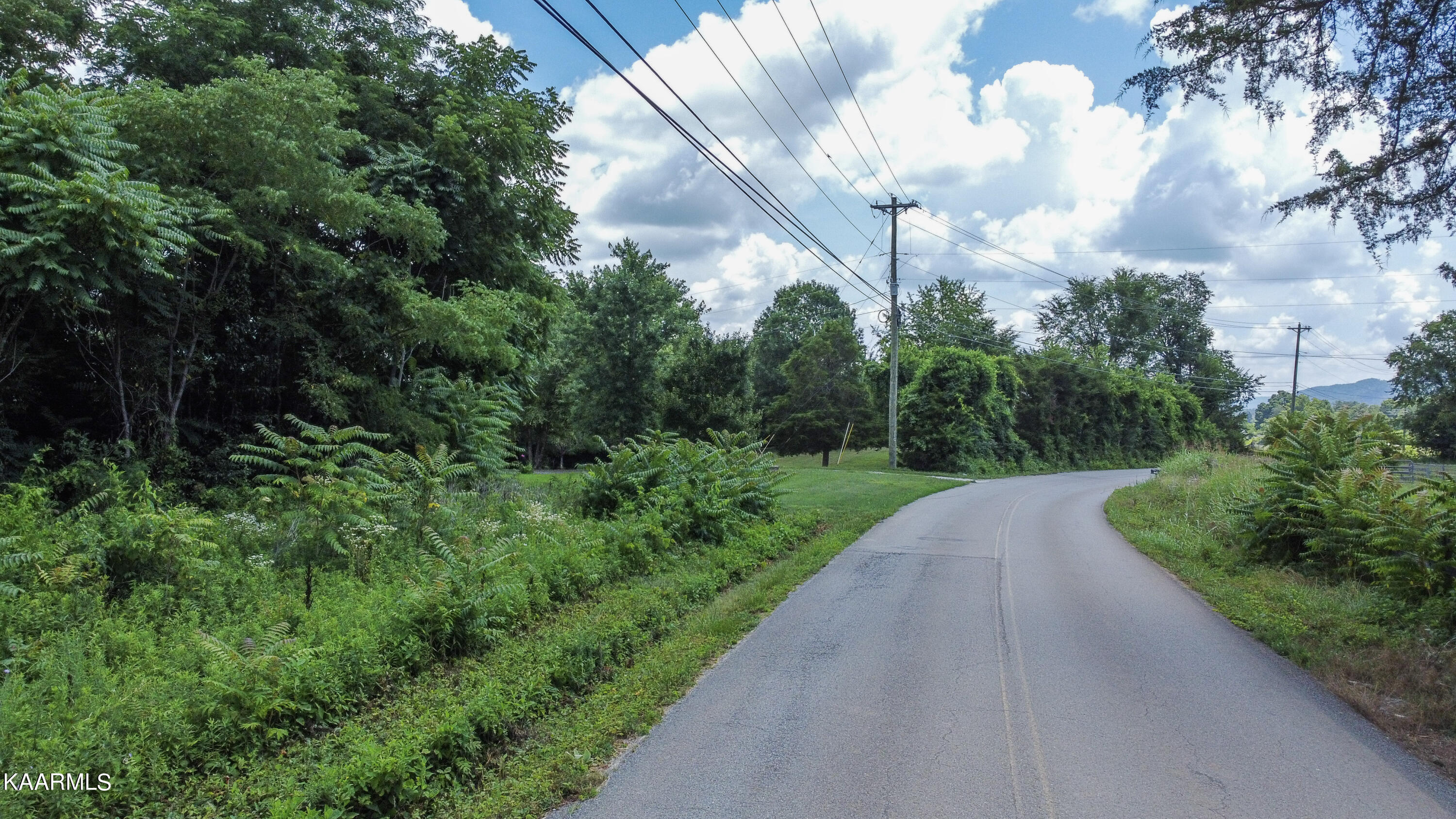 Rocky Springs Road Bean Station, TN 37708 - Photo 14 of 14 ground