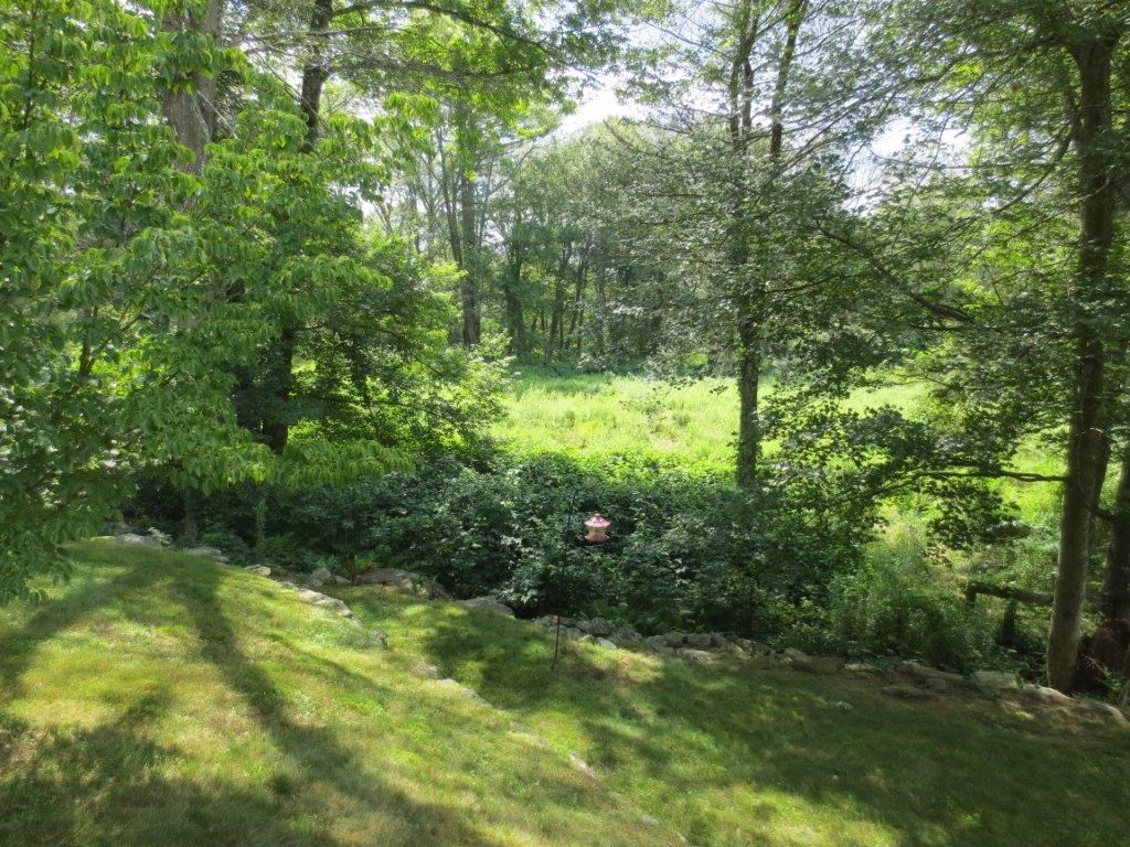 4 Barbs Hill Road Foster, RI 02825 - Photo 31 of 32 Yard
