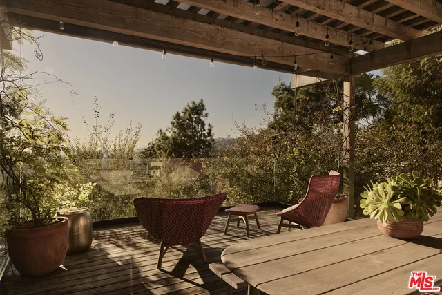 a view of a yard with plants and a bench