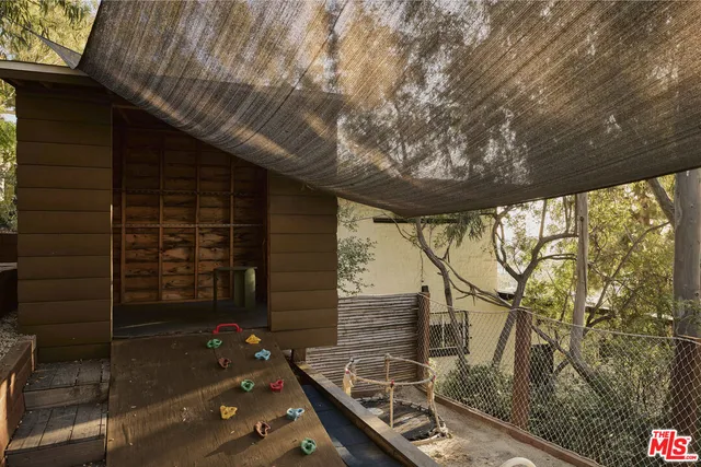 a view of a trees with a tree