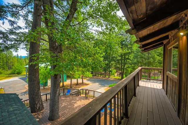 a view of a park with trees in the background