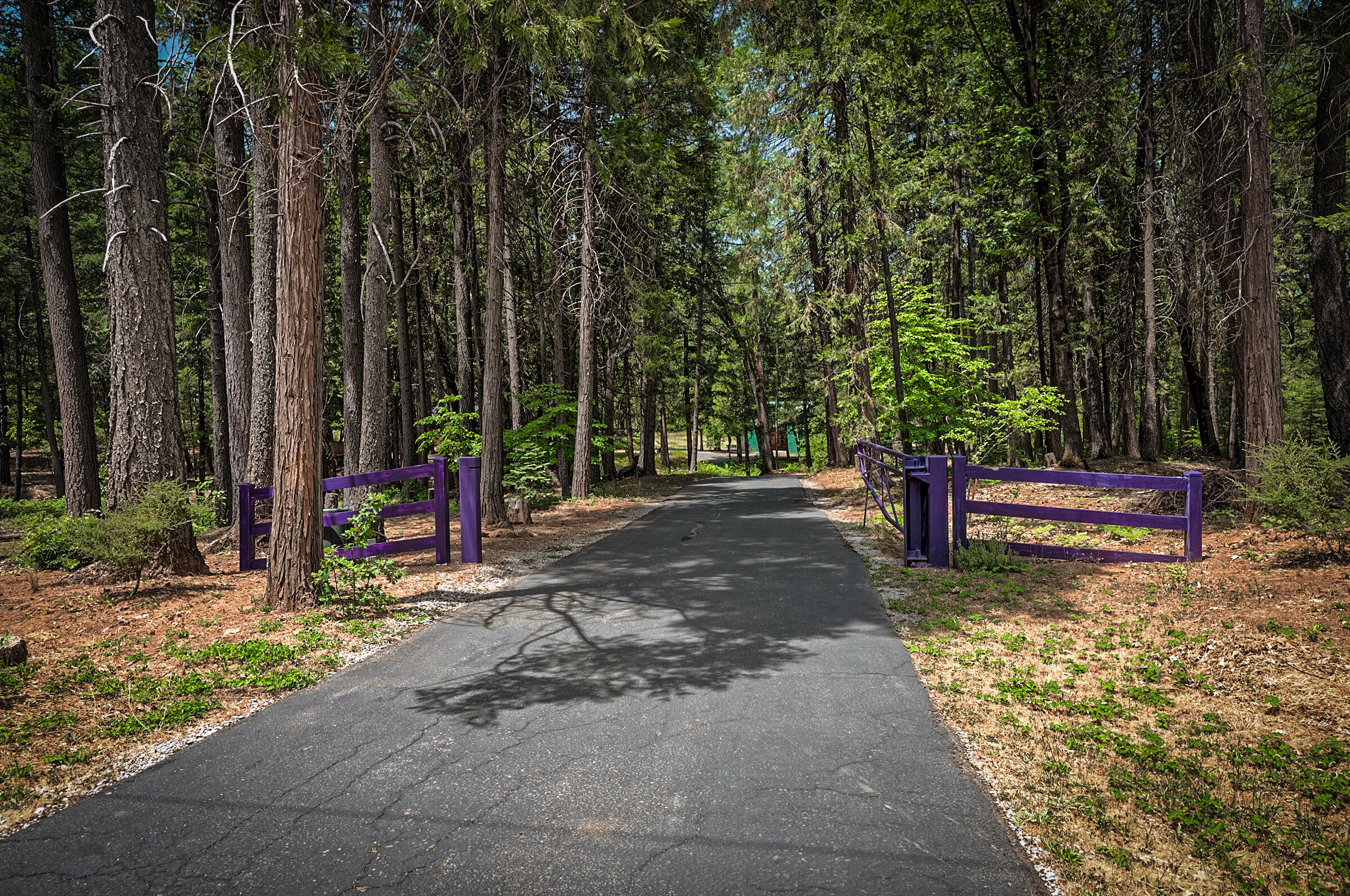 29230 Fenders Ferry Road Bella Vista, CA 96008 - Photo 4 of 60 fenders ferry (501 of 71)