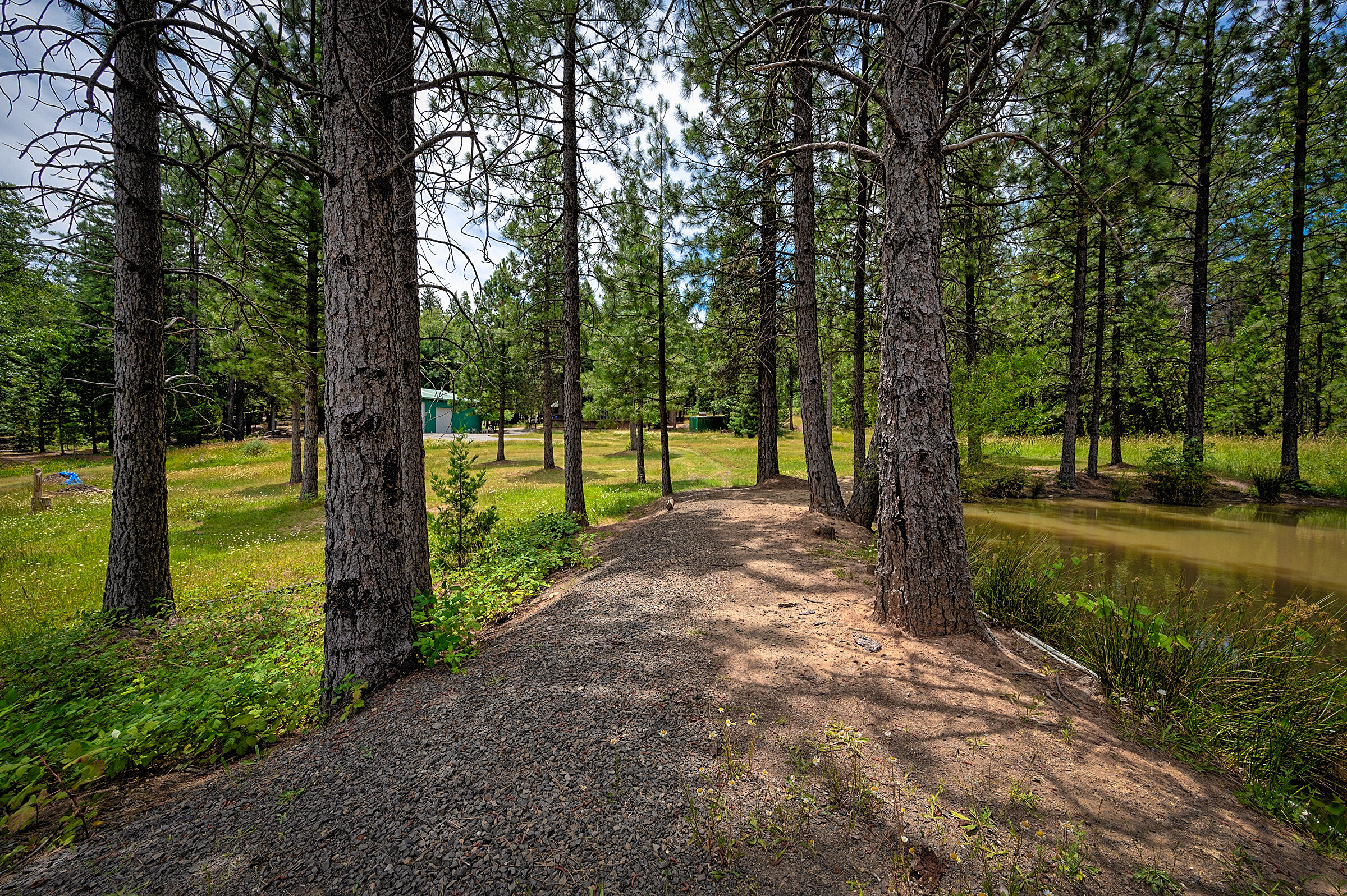 29230 Fenders Ferry Road Bella Vista, CA 96008 - Photo 47 of 60 a view of a park with large trees