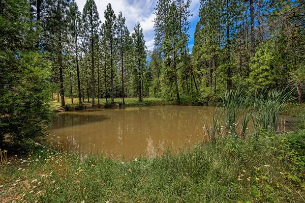 $799,000 | 29230 Fenders Ferry Road, Bella Vista, CA 96008