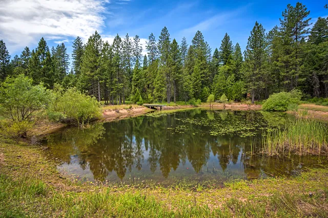 $799,000 | 29230 Fenders Ferry Road, Bella Vista, CA 96008