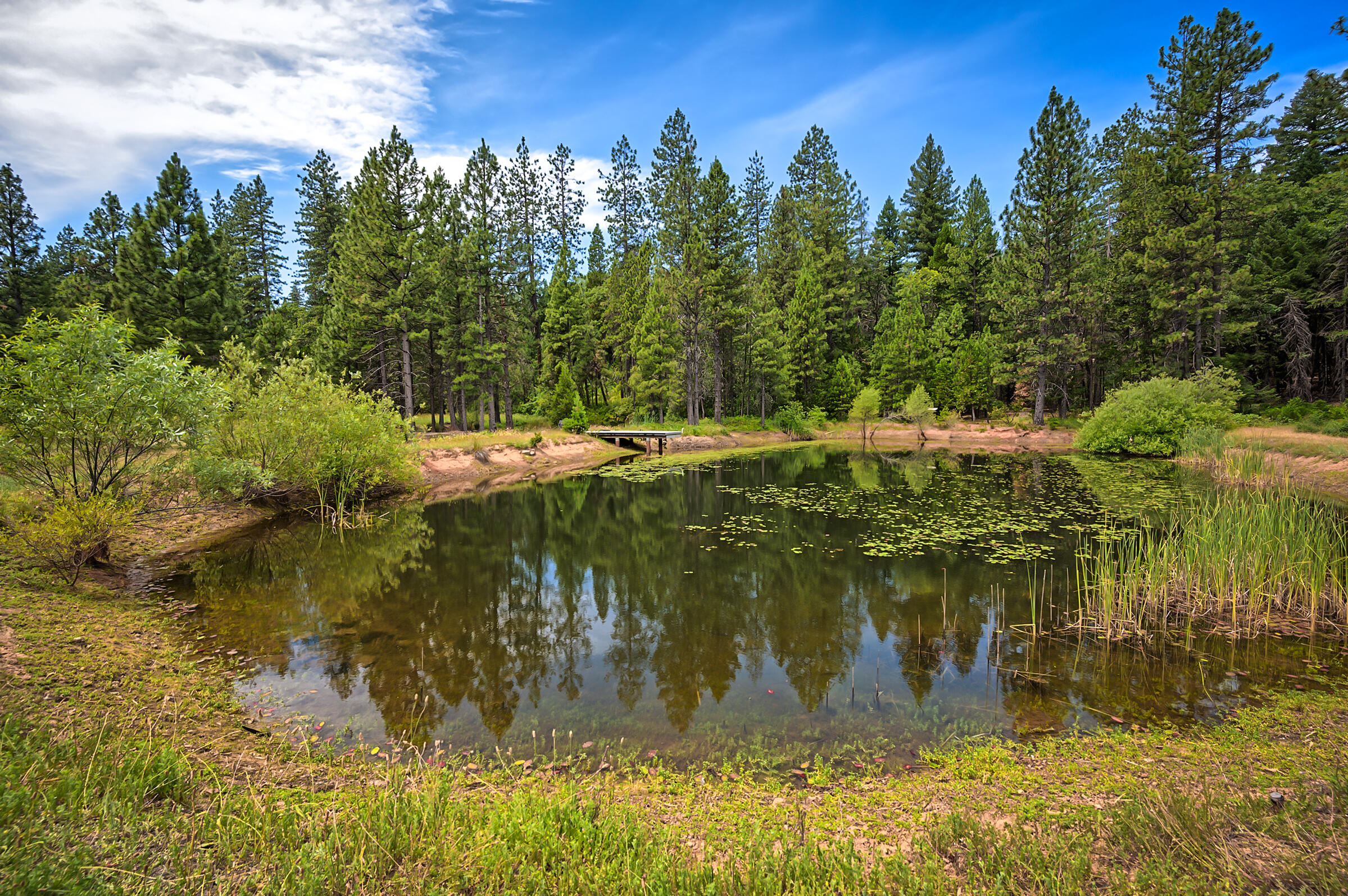 29230 Fenders Ferry Road Bella Vista, CA 96008 - Photo 54 of 60 fenders ferry (562 of 71)