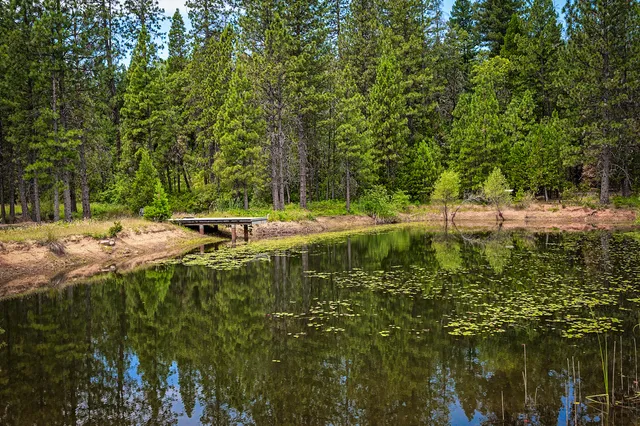 $799,000 | 29230 Fenders Ferry Road, Bella Vista, CA 96008