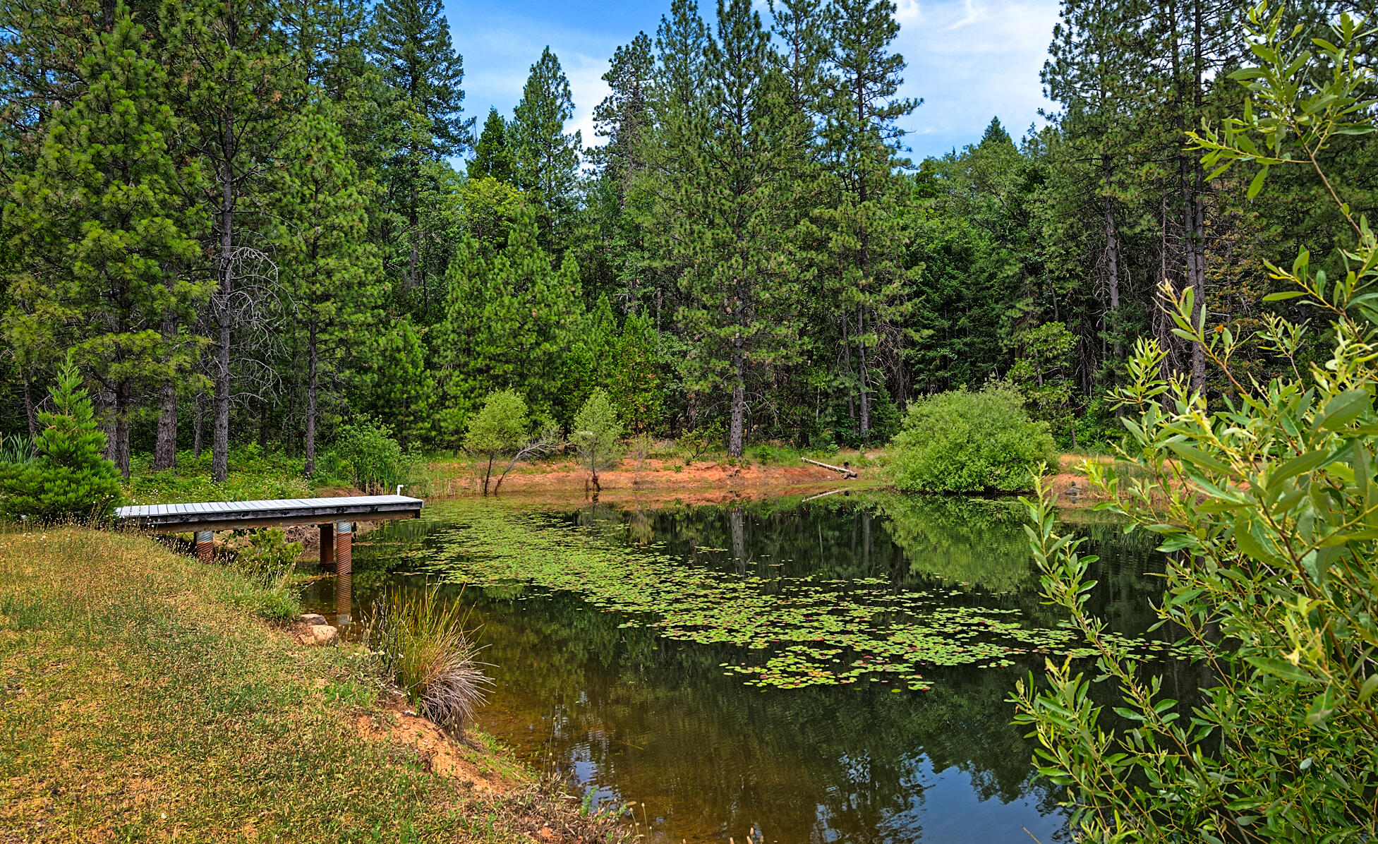 29230 Fenders Ferry Road Bella Vista, CA 96008 - Photo 56 of 60 a view of a lake with a bench next to a lake