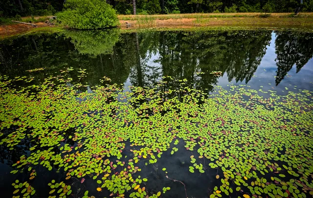 $799,000 | 29230 Fenders Ferry Road, Bella Vista, CA 96008