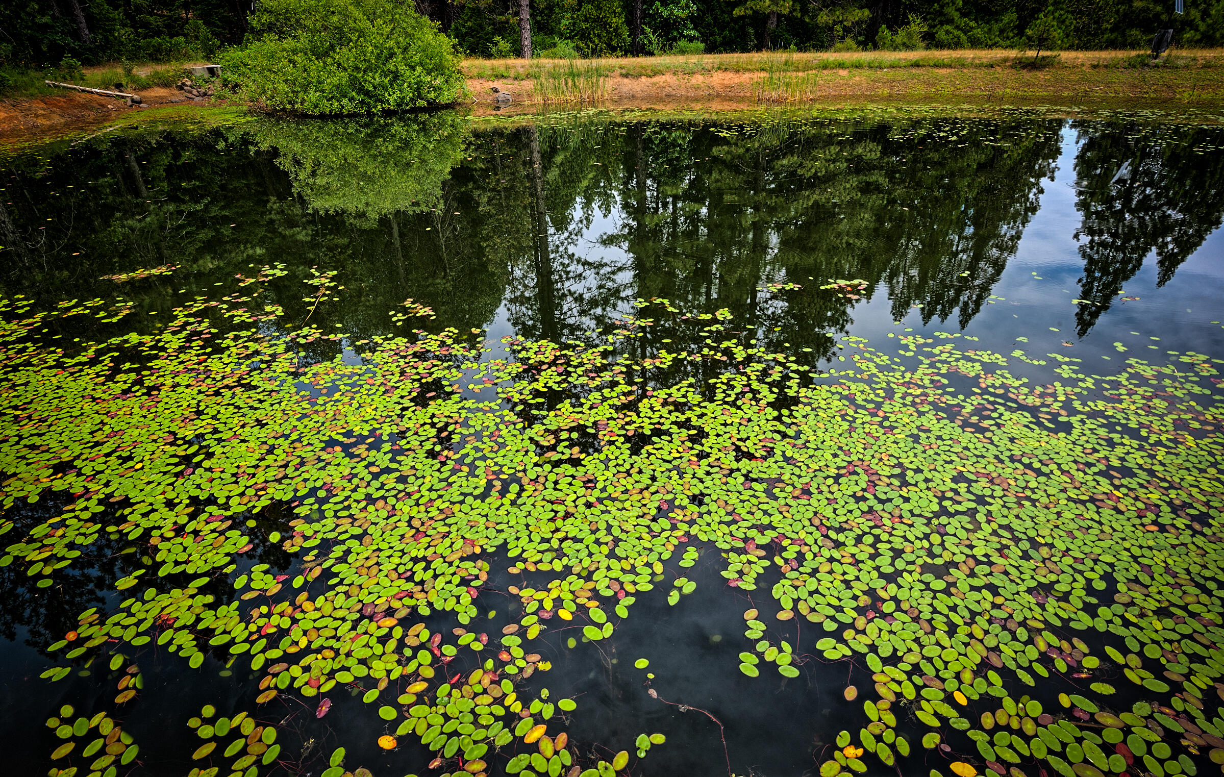 29230 Fenders Ferry Road Bella Vista, CA 96008 - Photo 57 of 60 fenders ferry (566 of 71)